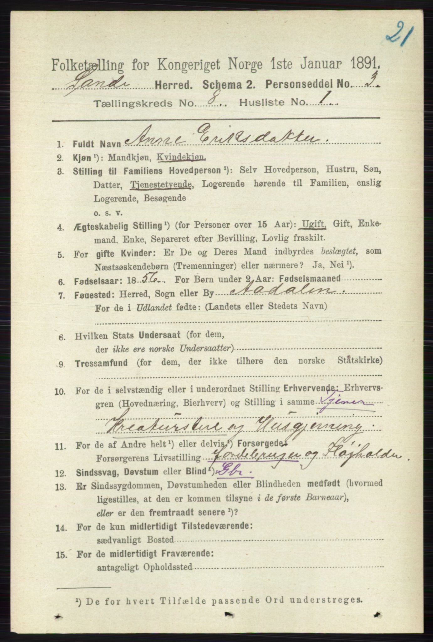 RA, 1891 census for 0713 Sande, 1891, p. 3530