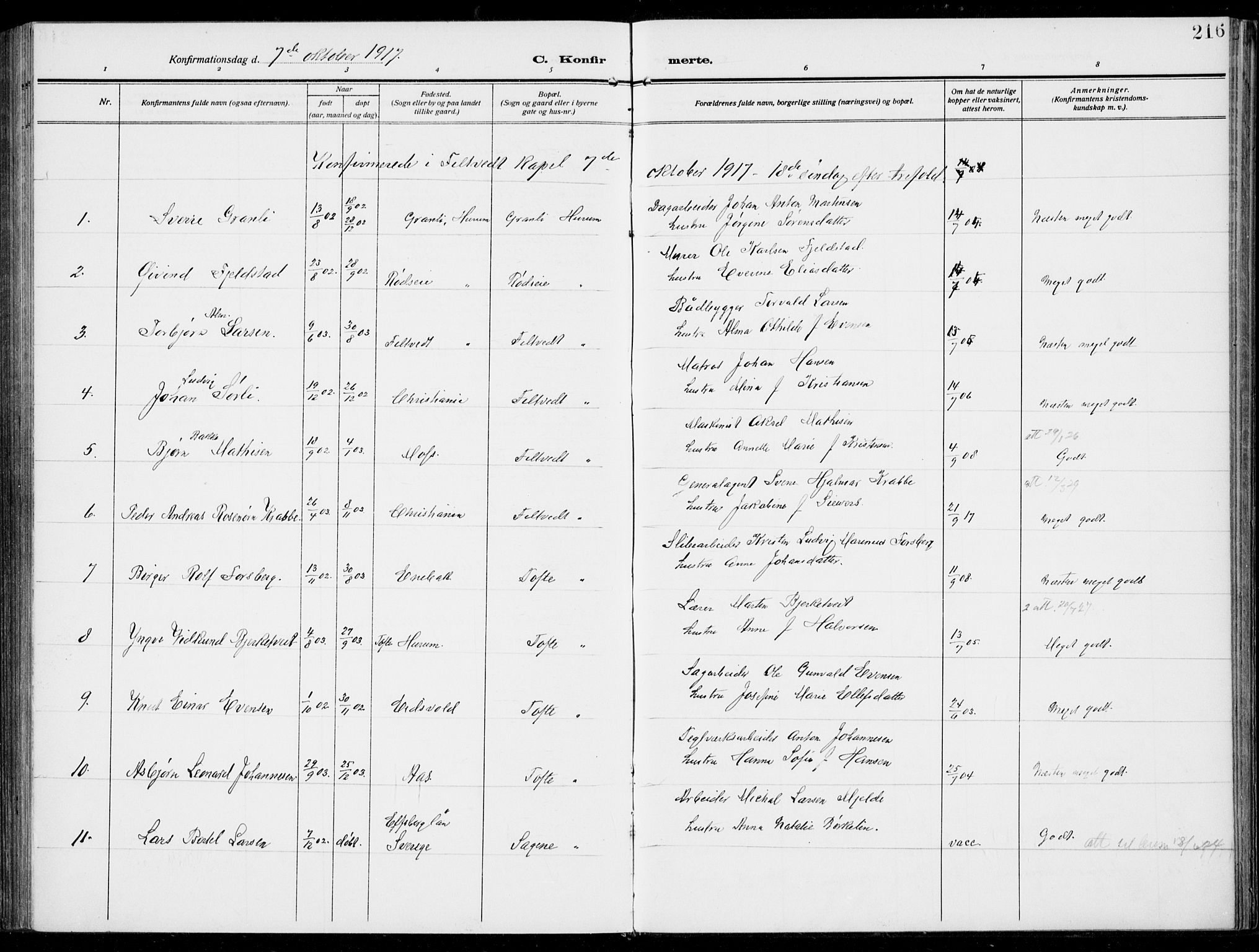 Hurum kirkebøker, SAKO/A-229/F/Fa/L0016: Parish register (official) no. 16, 1899-1918, p. 216