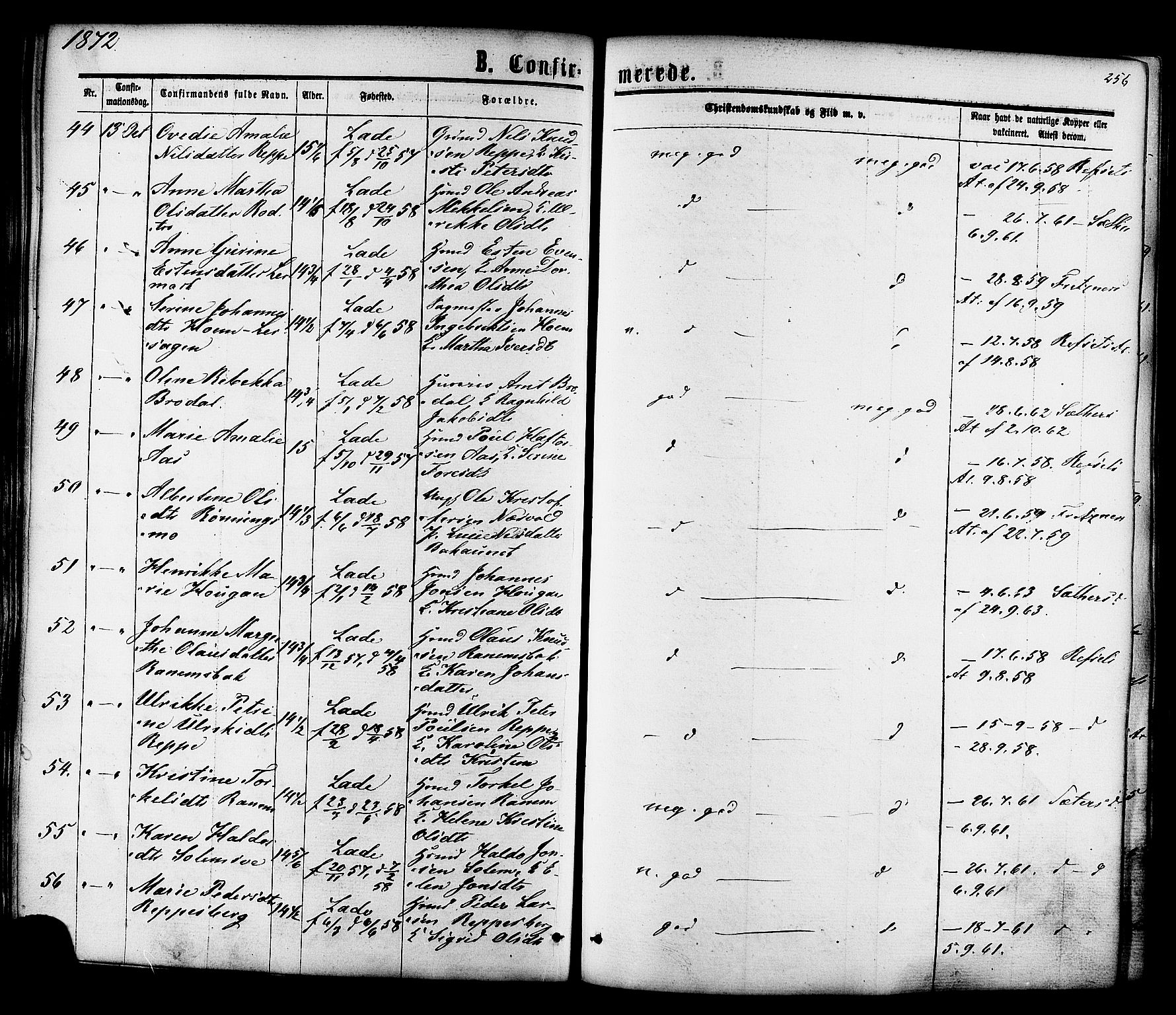 Ministerialprotokoller, klokkerbøker og fødselsregistre - Sør-Trøndelag, AV/SAT-A-1456/606/L0293: Parish register (official) no. 606A08, 1866-1877, p. 256
