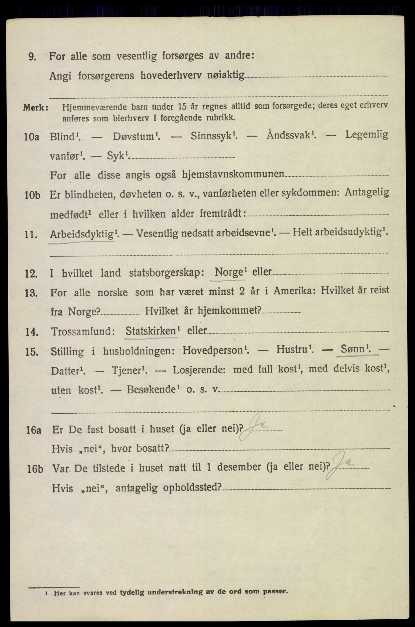 SAH, 1920 census for Vang (Hedmark), 1920, p. 11058