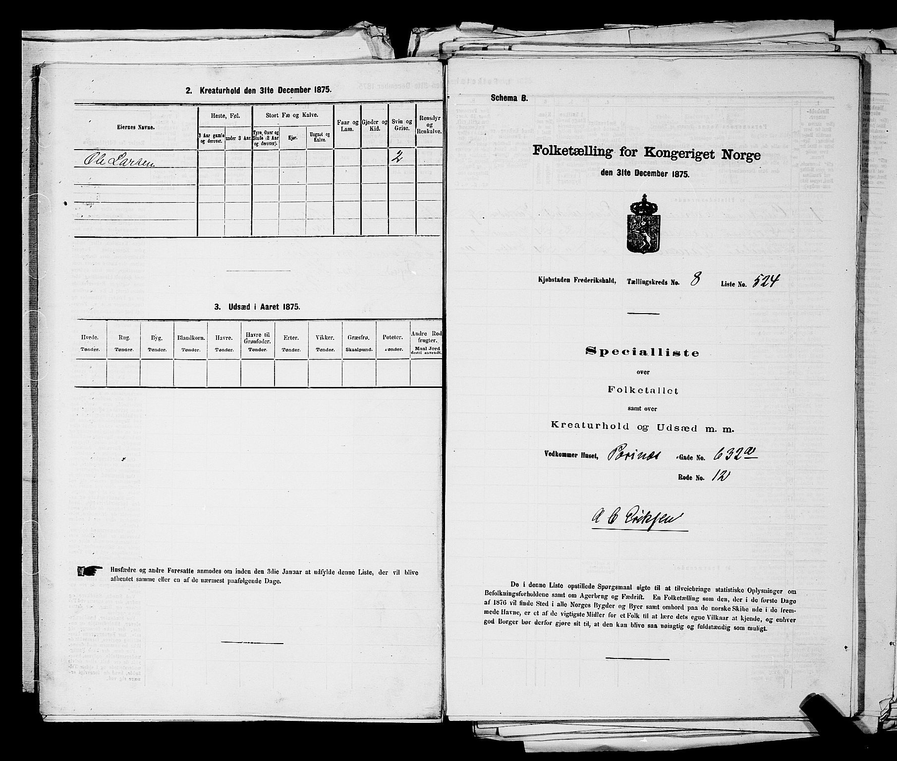 RA, 1875 census for 0101P Fredrikshald, 1875, p. 1290