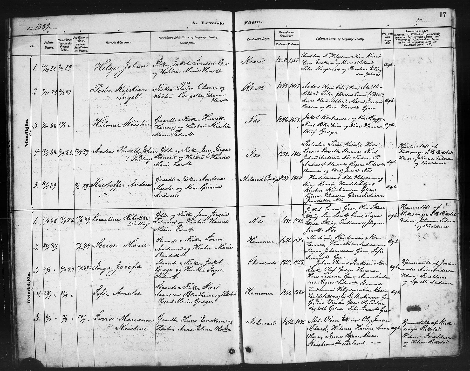 Ministerialprotokoller, klokkerbøker og fødselsregistre - Nordland, AV/SAT-A-1459/808/L0131: Parish register (copy) no. 808C02, 1879-1919, p. 17