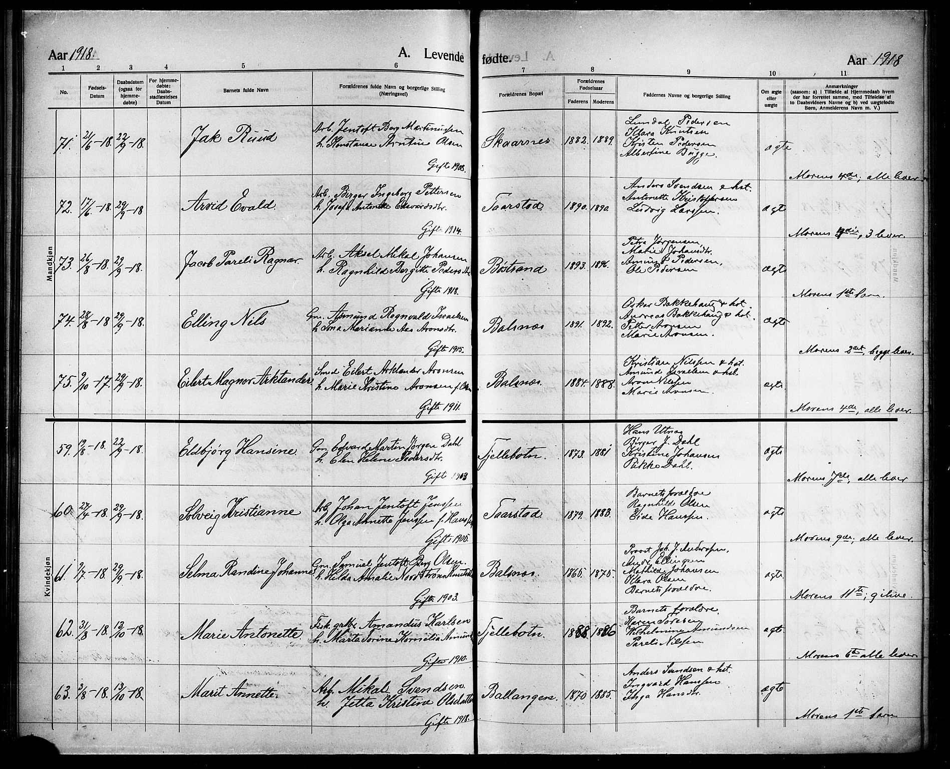 Ministerialprotokoller, klokkerbøker og fødselsregistre - Nordland, AV/SAT-A-1459/863/L0916: Parish register (copy) no. 863C06, 1907-1921