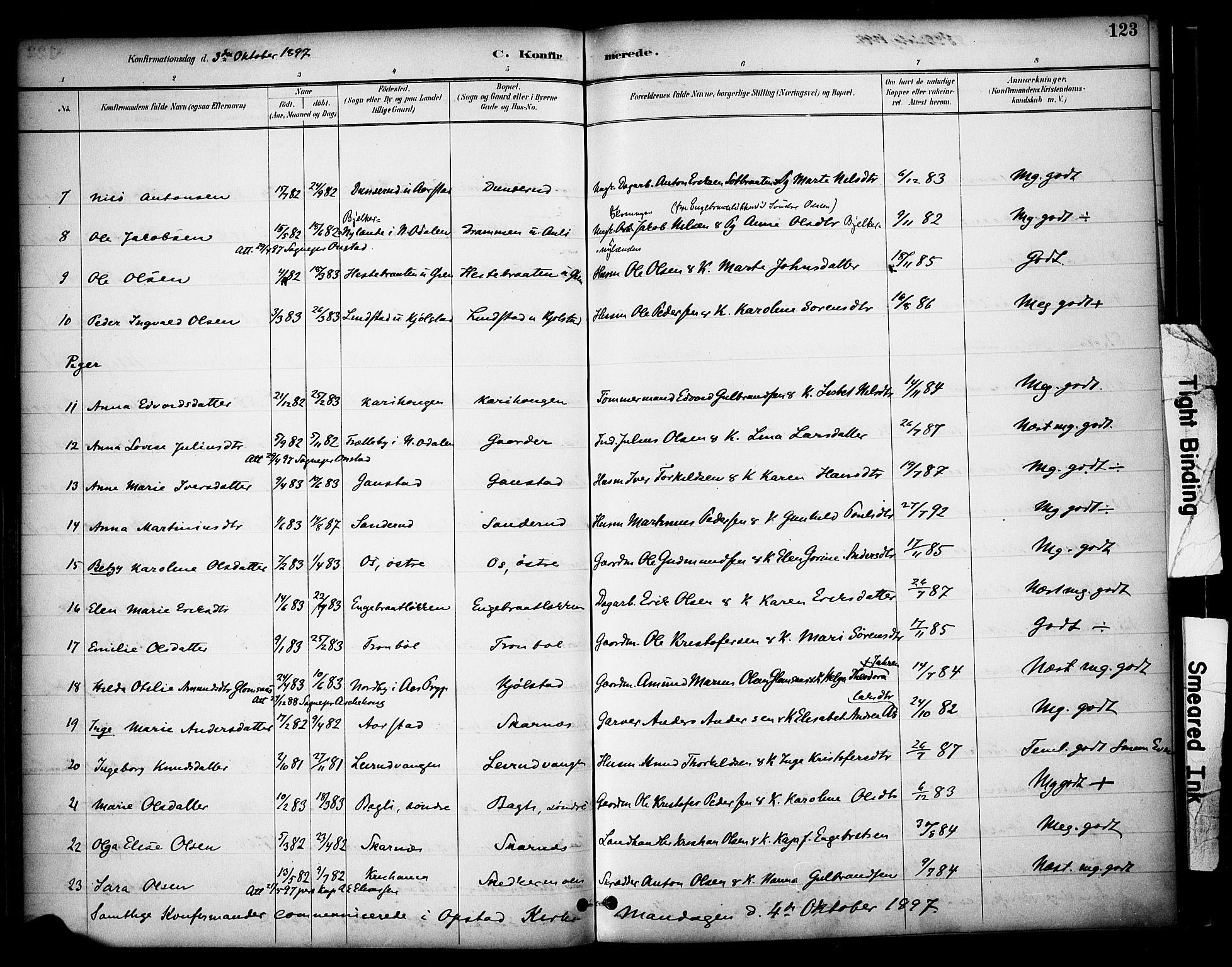 Sør-Odal prestekontor, SAH/PREST-030/H/Ha/Haa/L0009: Parish register (official) no. 9, 1886-1926, p. 123