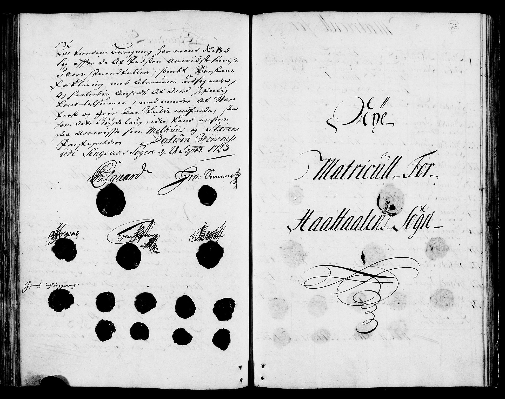 Rentekammeret inntil 1814, Realistisk ordnet avdeling, AV/RA-EA-4070/N/Nb/Nbf/L0159: Gauldal matrikkelprotokoll, 1723, p. 76
