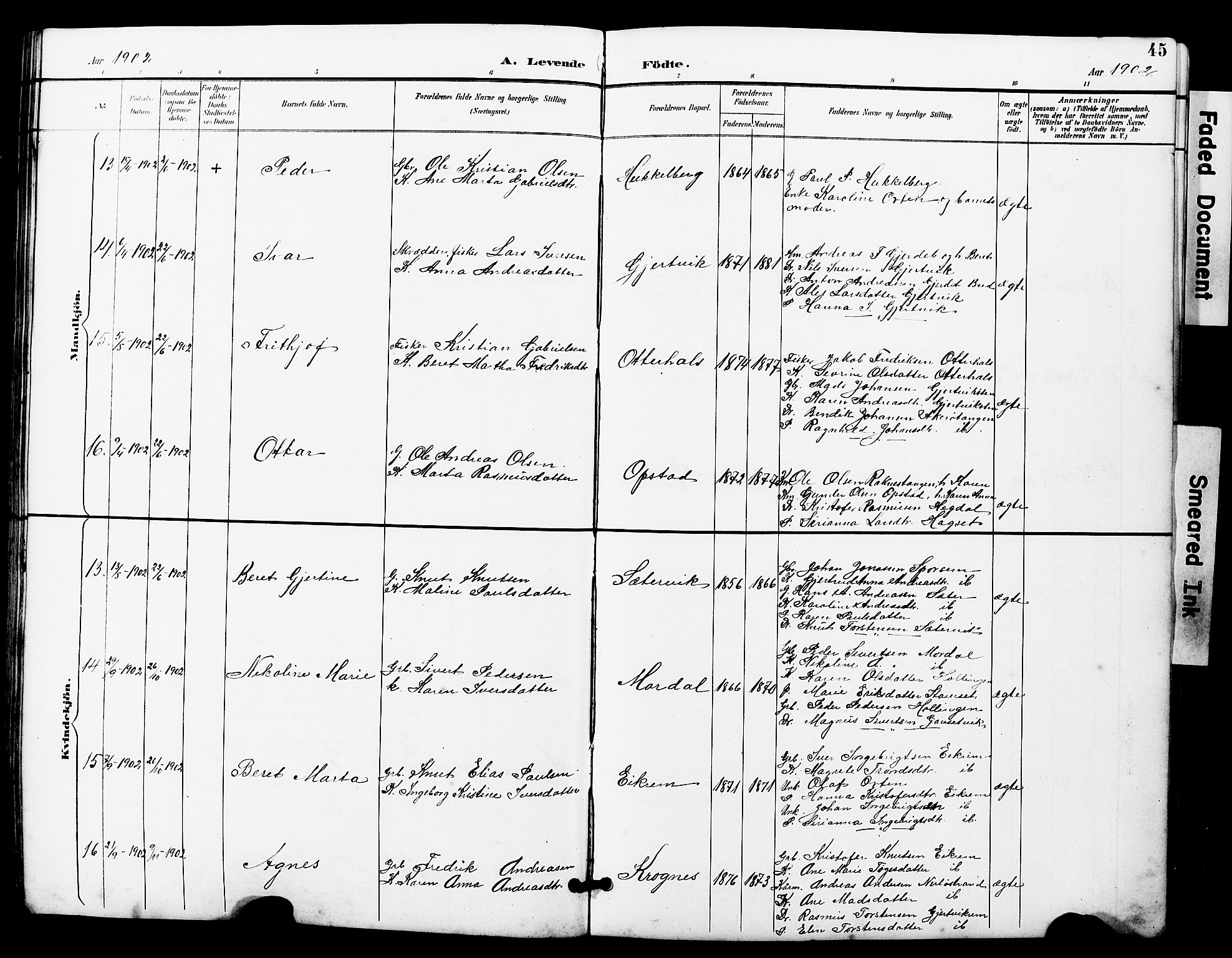 Ministerialprotokoller, klokkerbøker og fødselsregistre - Møre og Romsdal, AV/SAT-A-1454/560/L0725: Parish register (copy) no. 560C02, 1895-1930, p. 45