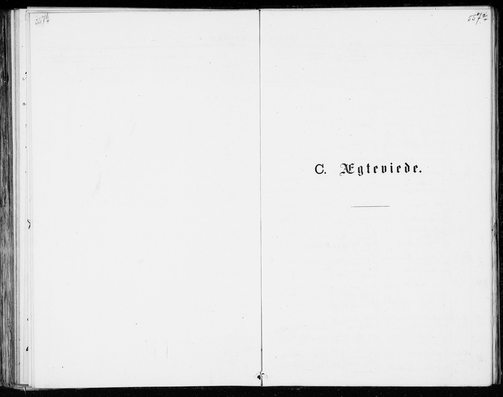 Eiker kirkebøker, AV/SAKO-A-4/G/Ga/L0004: Parish register (copy) no. I 4, 1877-1877, p. 557