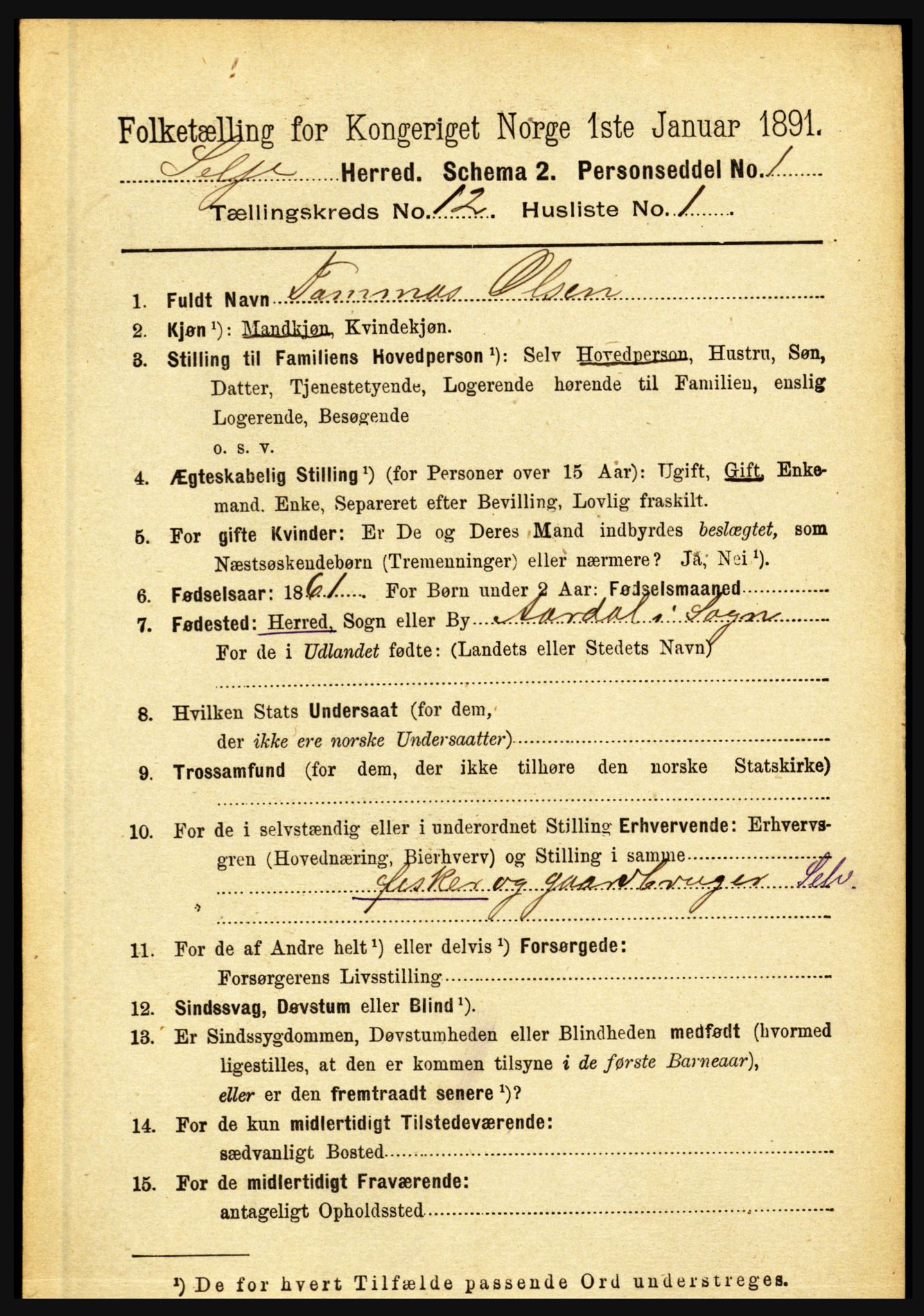 RA, 1891 census for 1441 Selje, 1891, p. 3691