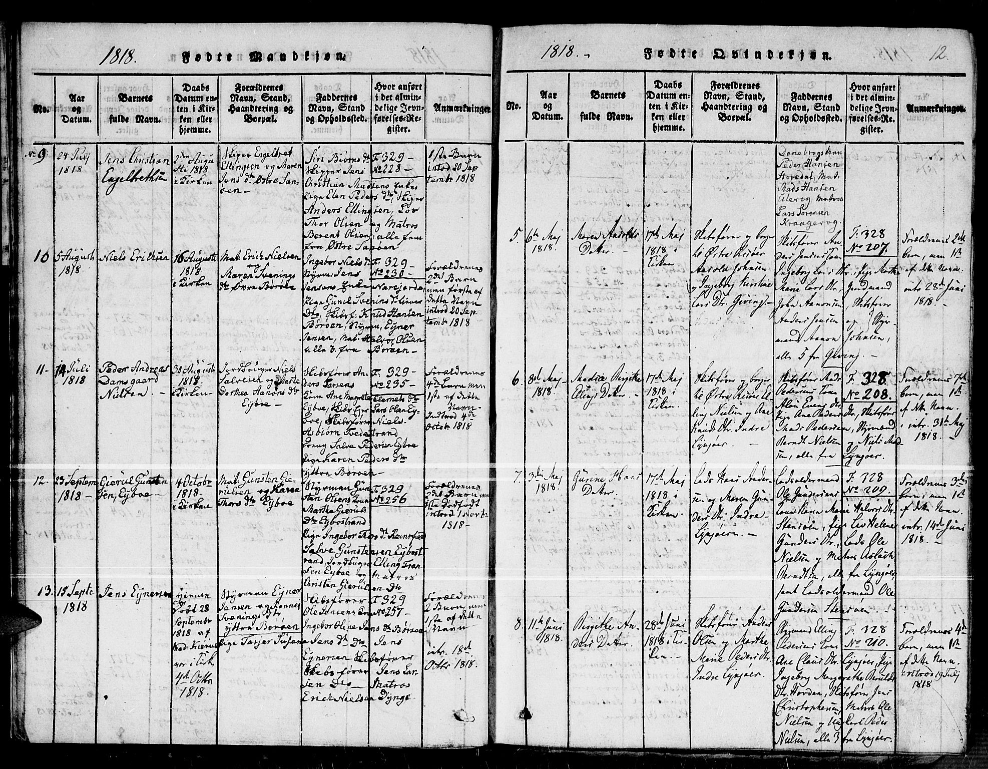 Dypvåg sokneprestkontor, SAK/1111-0007/F/Fb/Fba/L0009: Parish register (copy) no. B 9, 1816-1842, p. 12