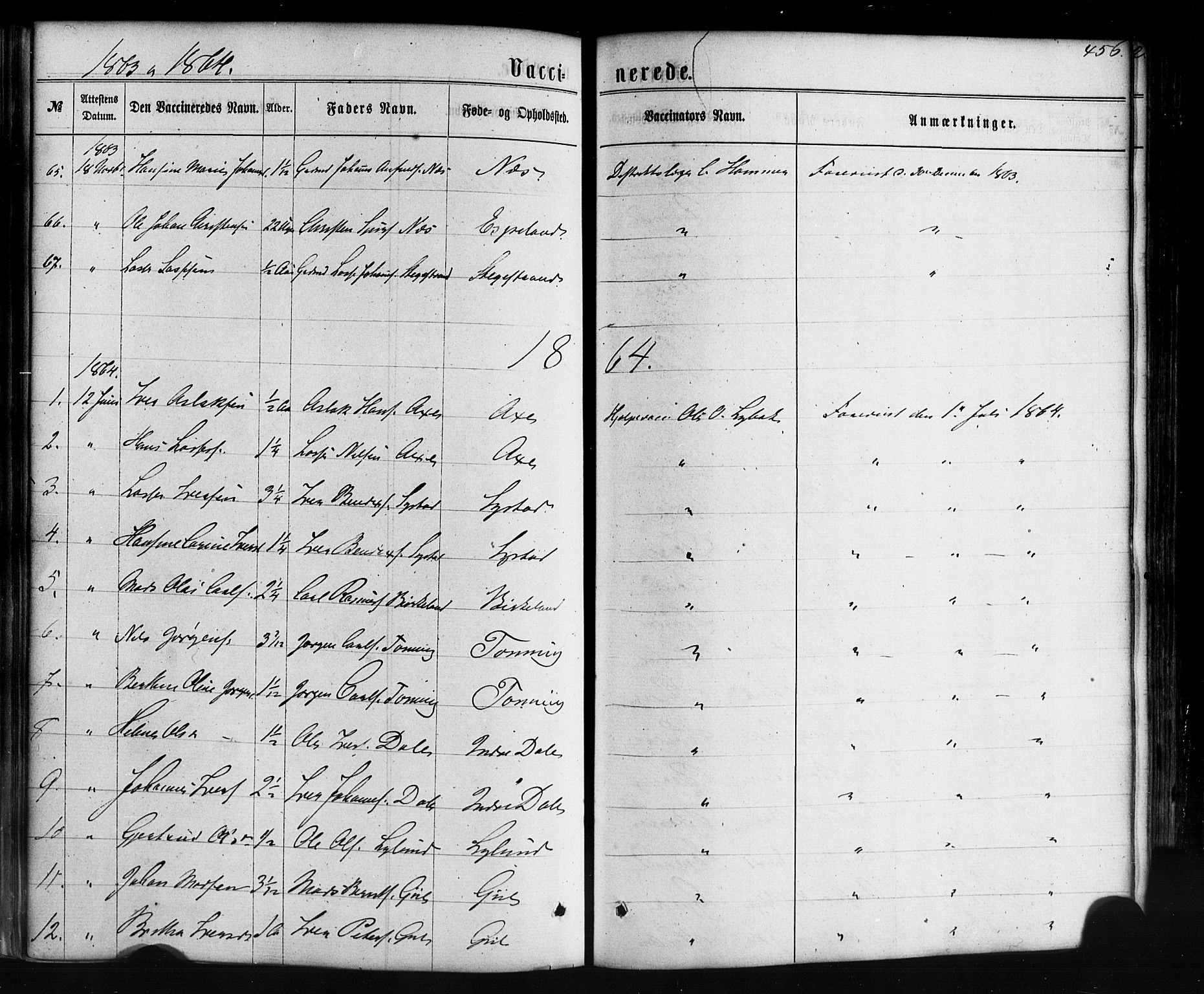 Hyllestad sokneprestembete, SAB/A-80401: Parish register (official) no. A 1, 1861-1886, p. 456