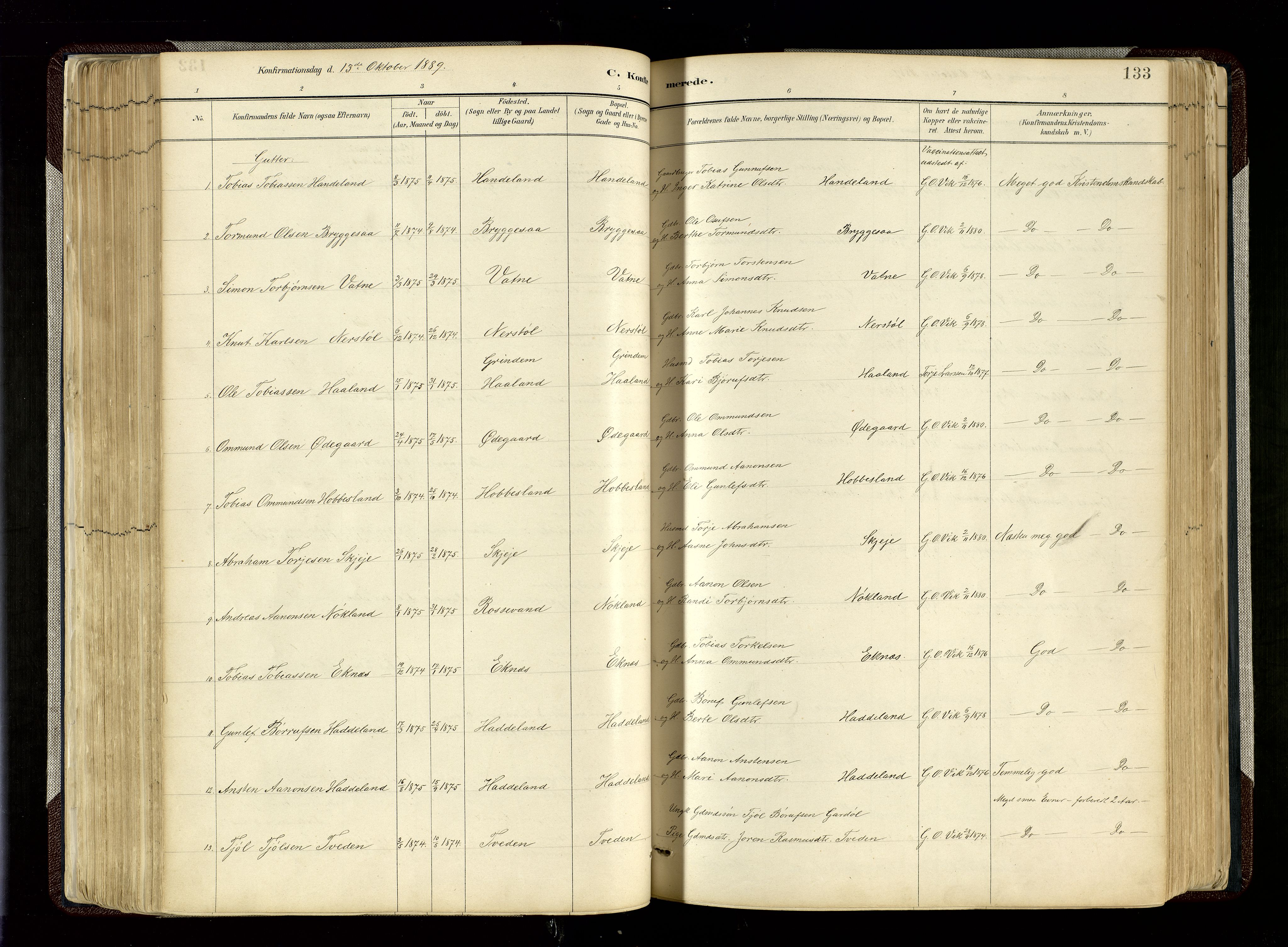 Hægebostad sokneprestkontor, SAK/1111-0024/F/Fa/Fab/L0004: Parish register (official) no. A 4, 1887-1929, p. 133
