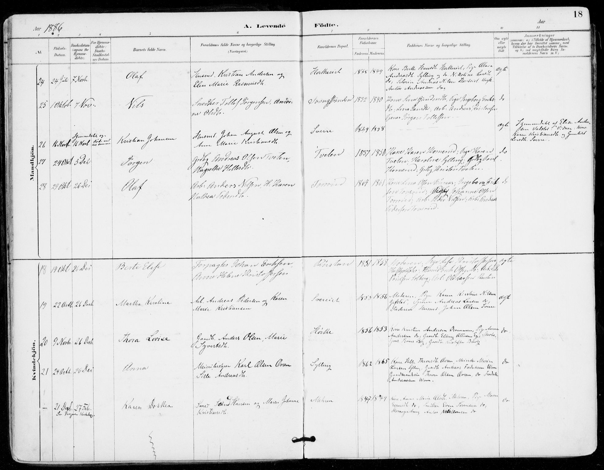 Sylling kirkebøker, AV/SAKO-A-247/F/Fa/L0001: Parish register (official) no. 1, 1883-1910, p. 18