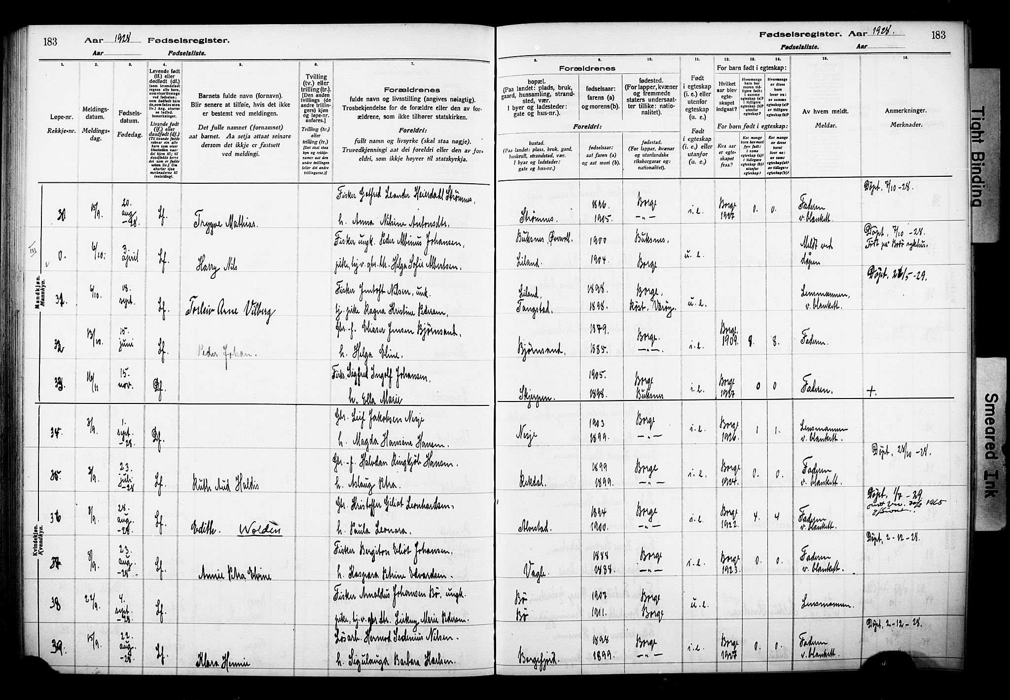 Ministerialprotokoller, klokkerbøker og fødselsregistre - Nordland, SAT/A-1459/880/L1145: Birth register no. 880.II.4.1, 1916-1929, p. 183