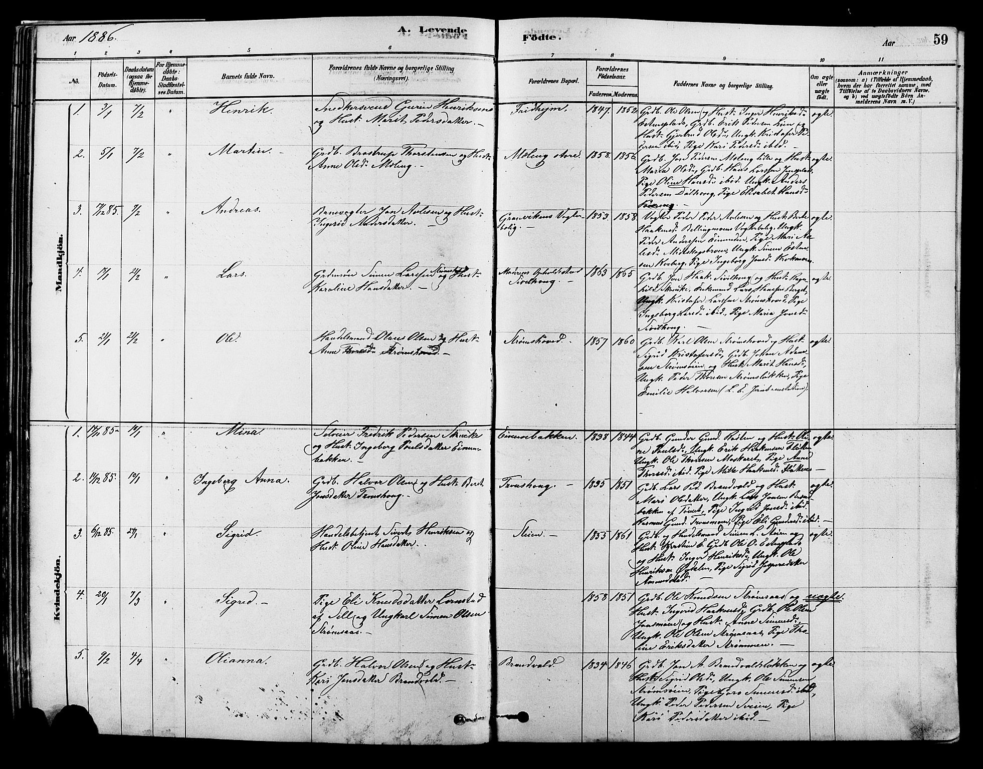 Alvdal prestekontor, SAH/PREST-060/H/Ha/Hab/L0003: Parish register (copy) no. 3, 1878-1907, p. 59