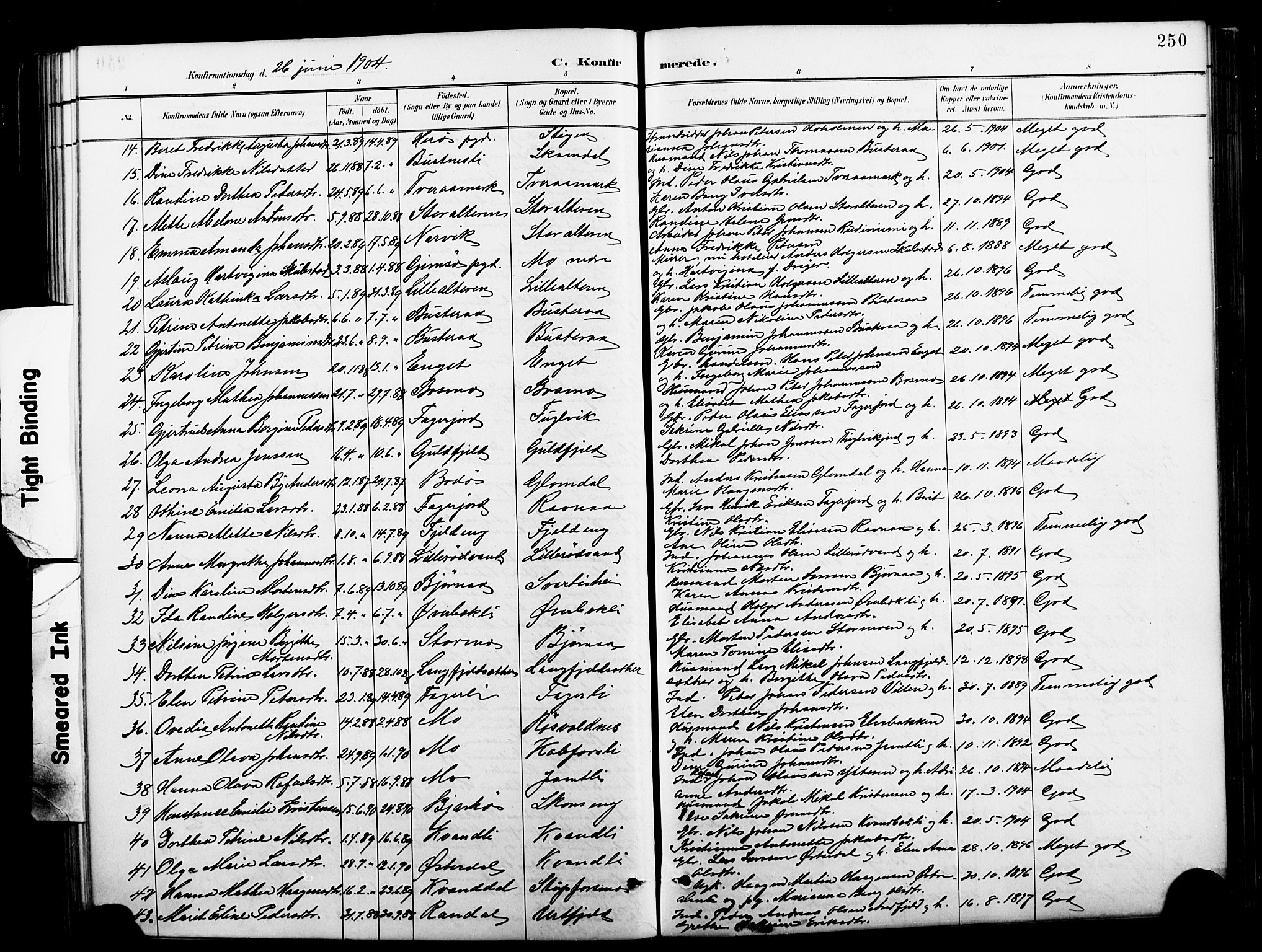 Ministerialprotokoller, klokkerbøker og fødselsregistre - Nordland, SAT/A-1459/827/L0421: Parish register (copy) no. 827C10, 1887-1906, p. 250