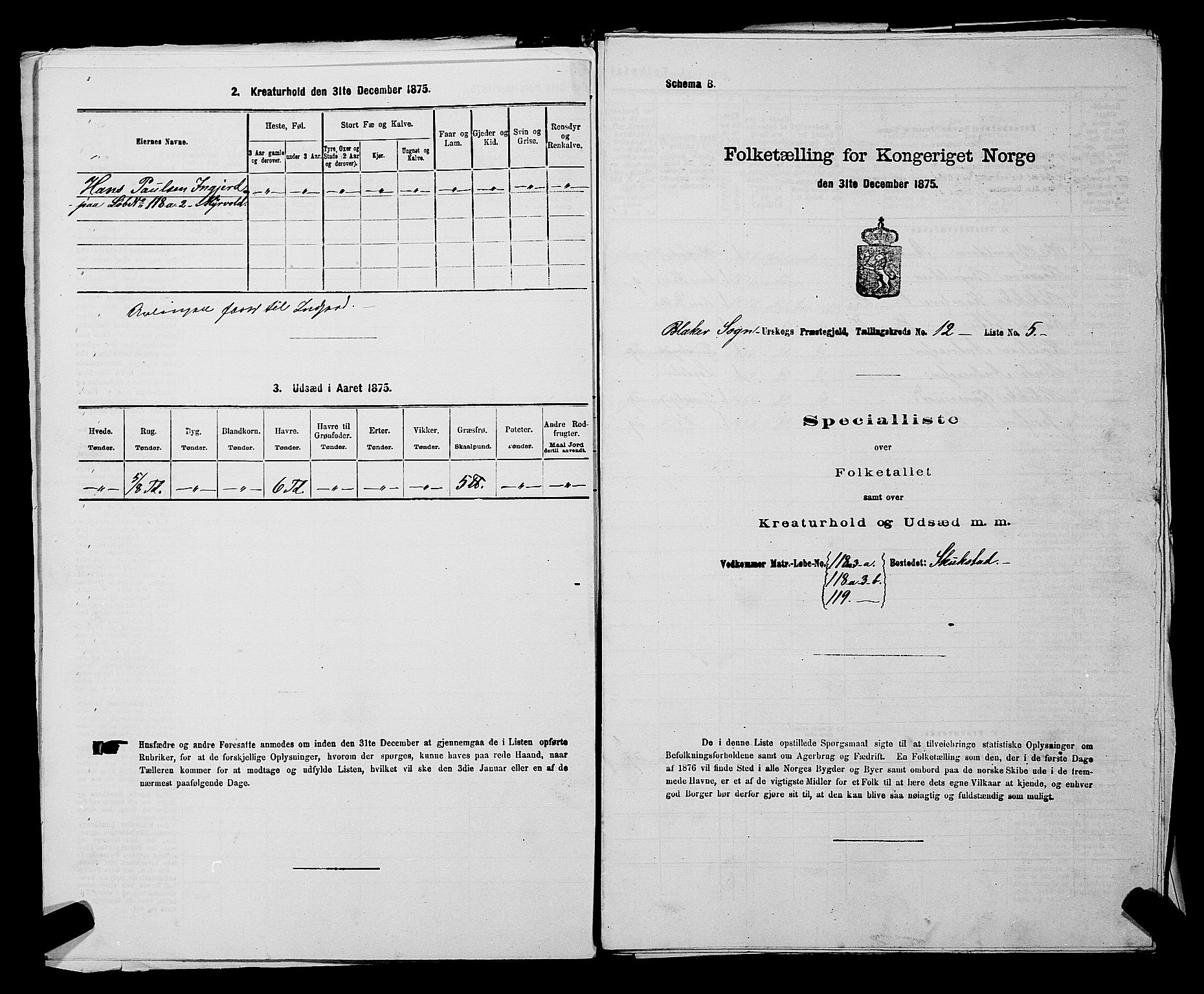 RA, 1875 census for 0224P Aurskog, 1875, p. 1171