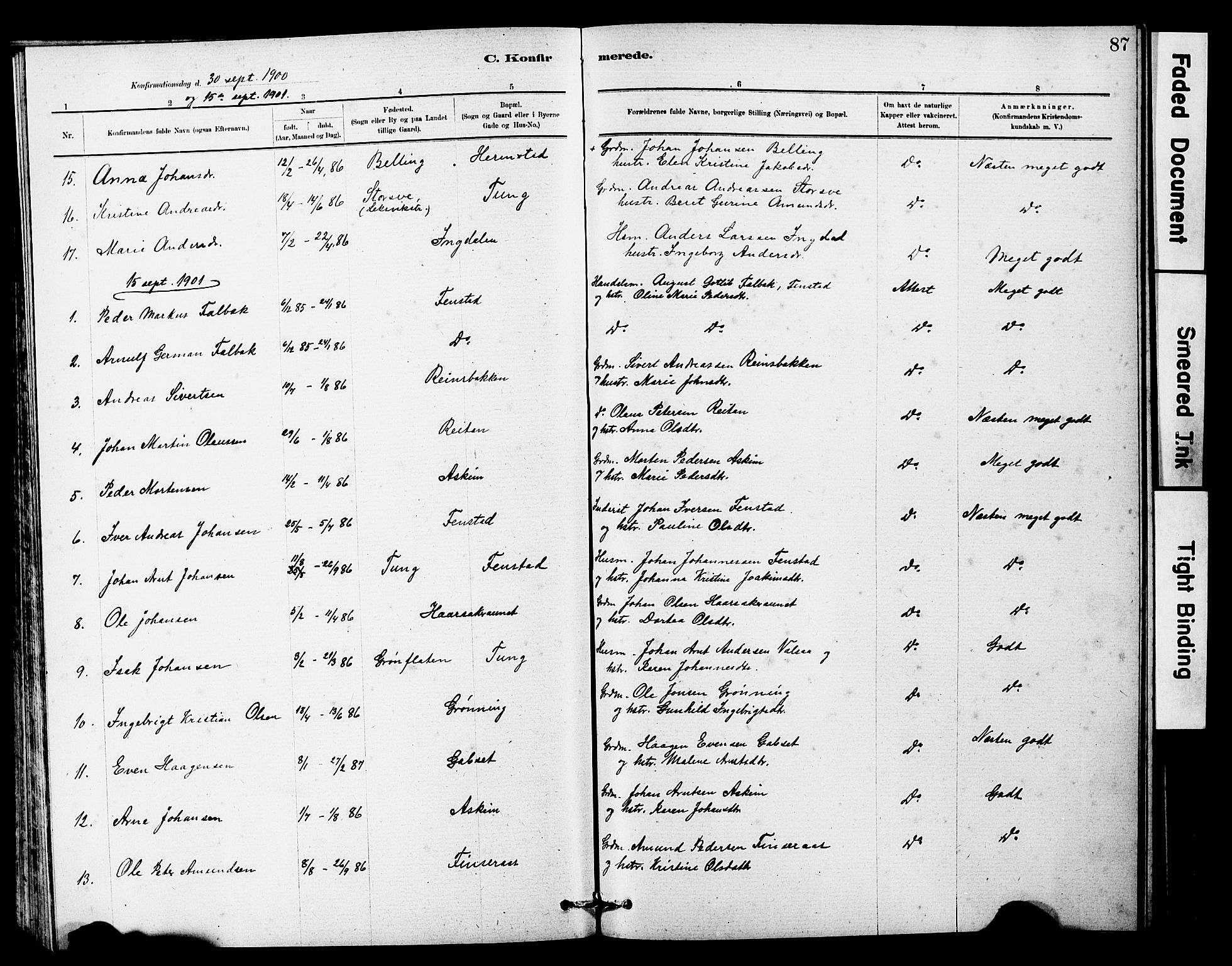 Ministerialprotokoller, klokkerbøker og fødselsregistre - Sør-Trøndelag, SAT/A-1456/646/L0628: Parish register (copy) no. 646C01, 1880-1903, p. 87
