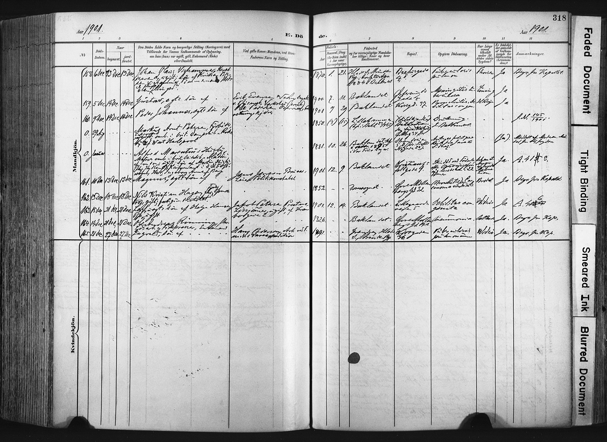 Ministerialprotokoller, klokkerbøker og fødselsregistre - Sør-Trøndelag, AV/SAT-A-1456/604/L0201: Parish register (official) no. 604A21, 1901-1911, p. 318