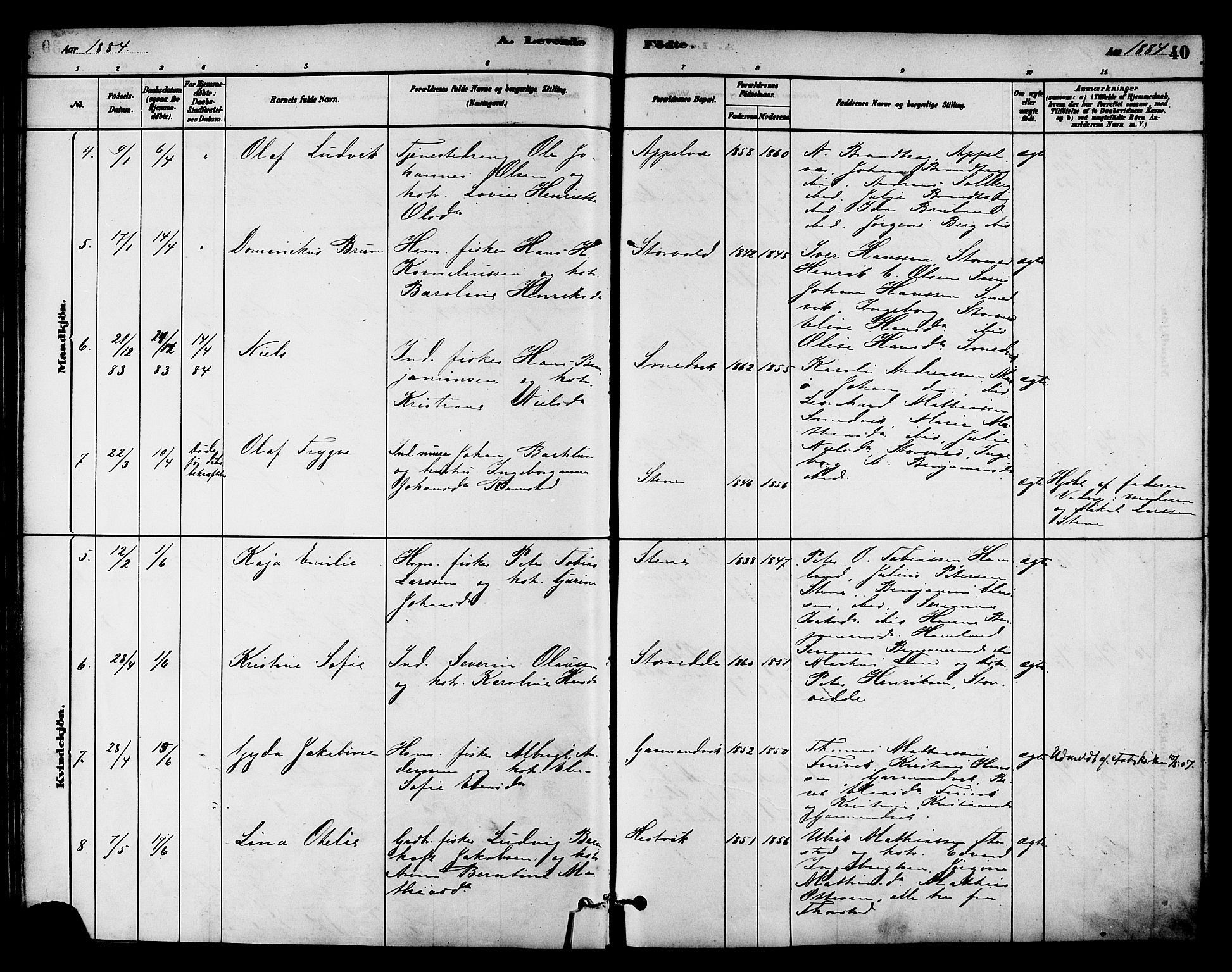 Ministerialprotokoller, klokkerbøker og fødselsregistre - Nord-Trøndelag, SAT/A-1458/784/L0672: Parish register (official) no. 784A07, 1880-1887, p. 40