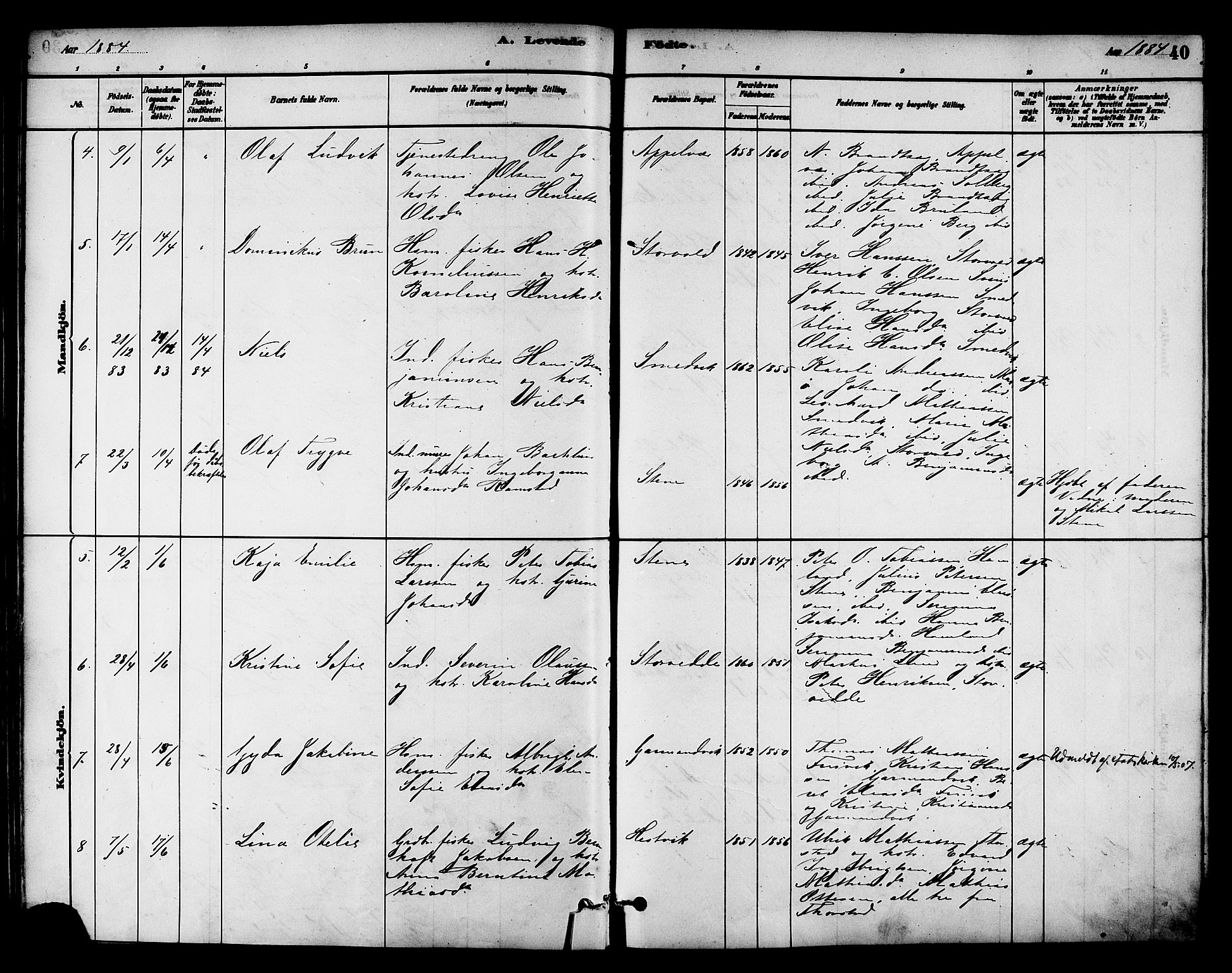 Ministerialprotokoller, klokkerbøker og fødselsregistre - Nord-Trøndelag, AV/SAT-A-1458/784/L0672: Parish register (official) no. 784A07, 1880-1887, p. 40