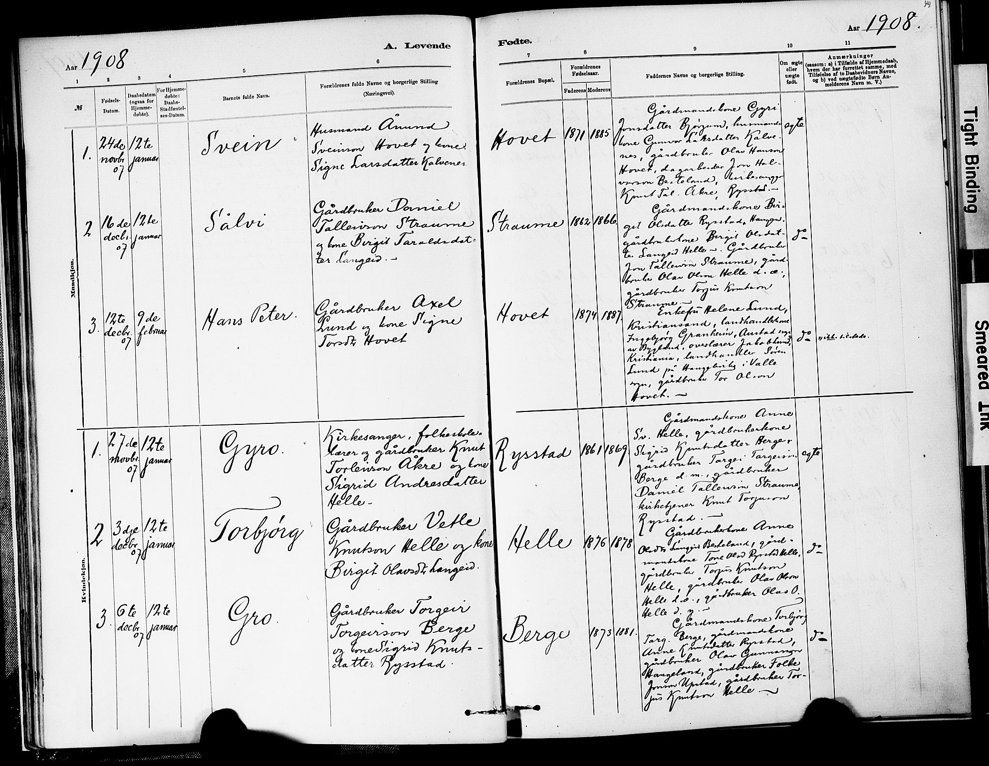Valle sokneprestkontor, SAK/1111-0044/F/Fa/Fab/L0001: Parish register (official) no. A 1, 1882-1910, p. 49