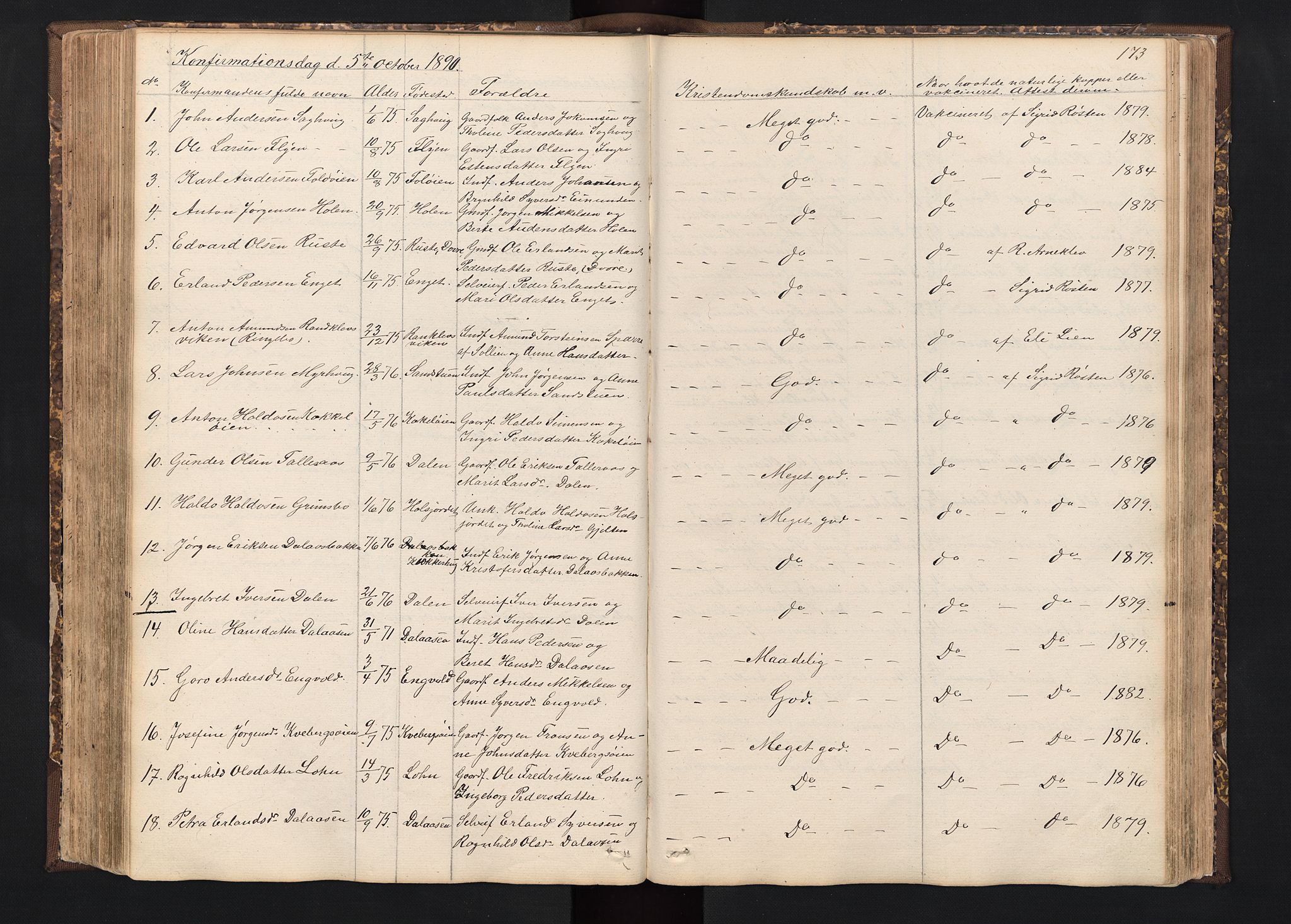 Alvdal prestekontor, SAH/PREST-060/H/Ha/Hab/L0001: Parish register (copy) no. 1, 1857-1893, p. 173