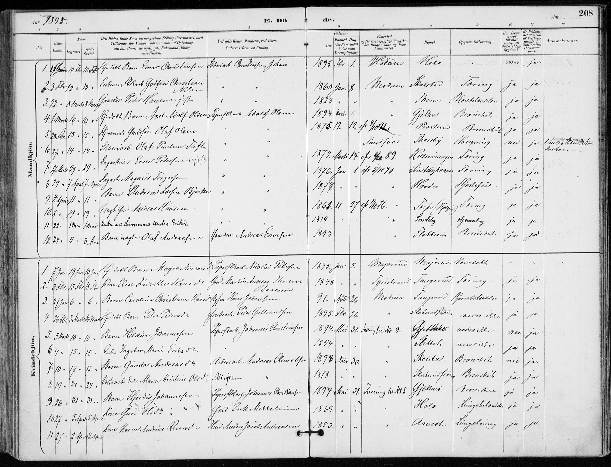 Modum kirkebøker, AV/SAKO-A-234/F/Fa/L0012: Parish register (official) no. 12, 1890-1898, p. 208