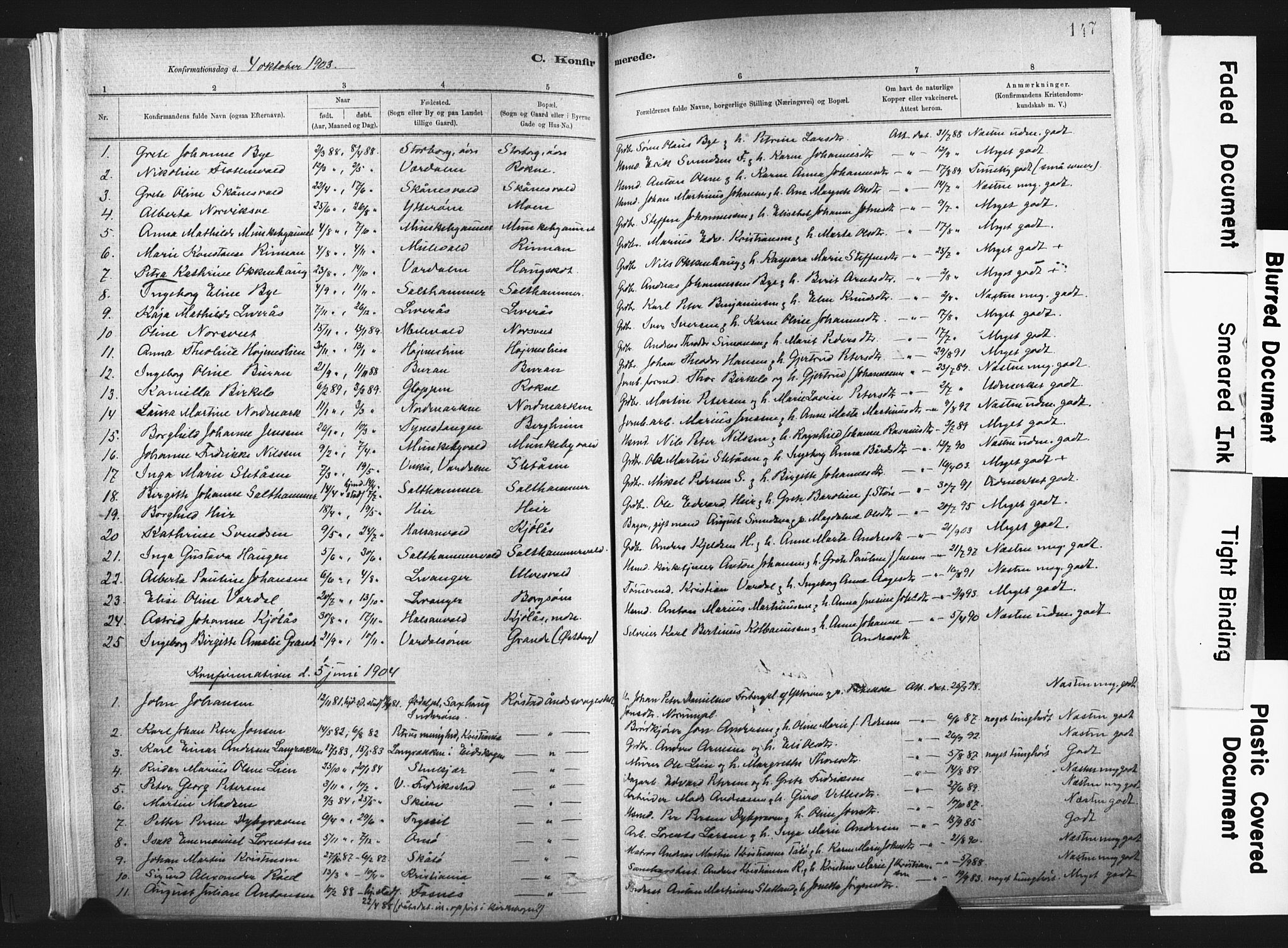 Ministerialprotokoller, klokkerbøker og fødselsregistre - Nord-Trøndelag, SAT/A-1458/721/L0207: Parish register (official) no. 721A02, 1880-1911, p. 147