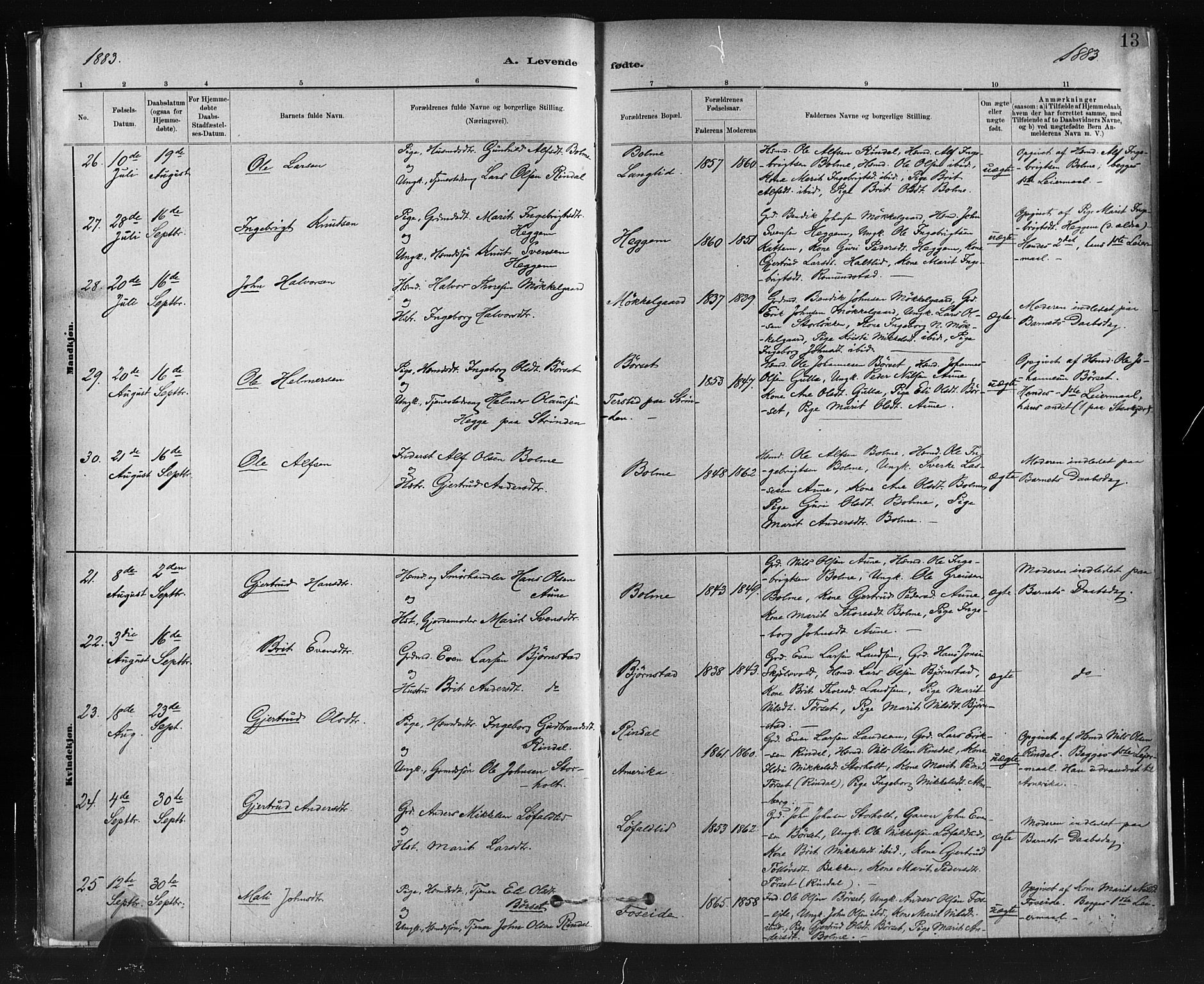 Ministerialprotokoller, klokkerbøker og fødselsregistre - Møre og Romsdal, AV/SAT-A-1454/598/L1069: Parish register (official) no. 598A03, 1882-1895, p. 13