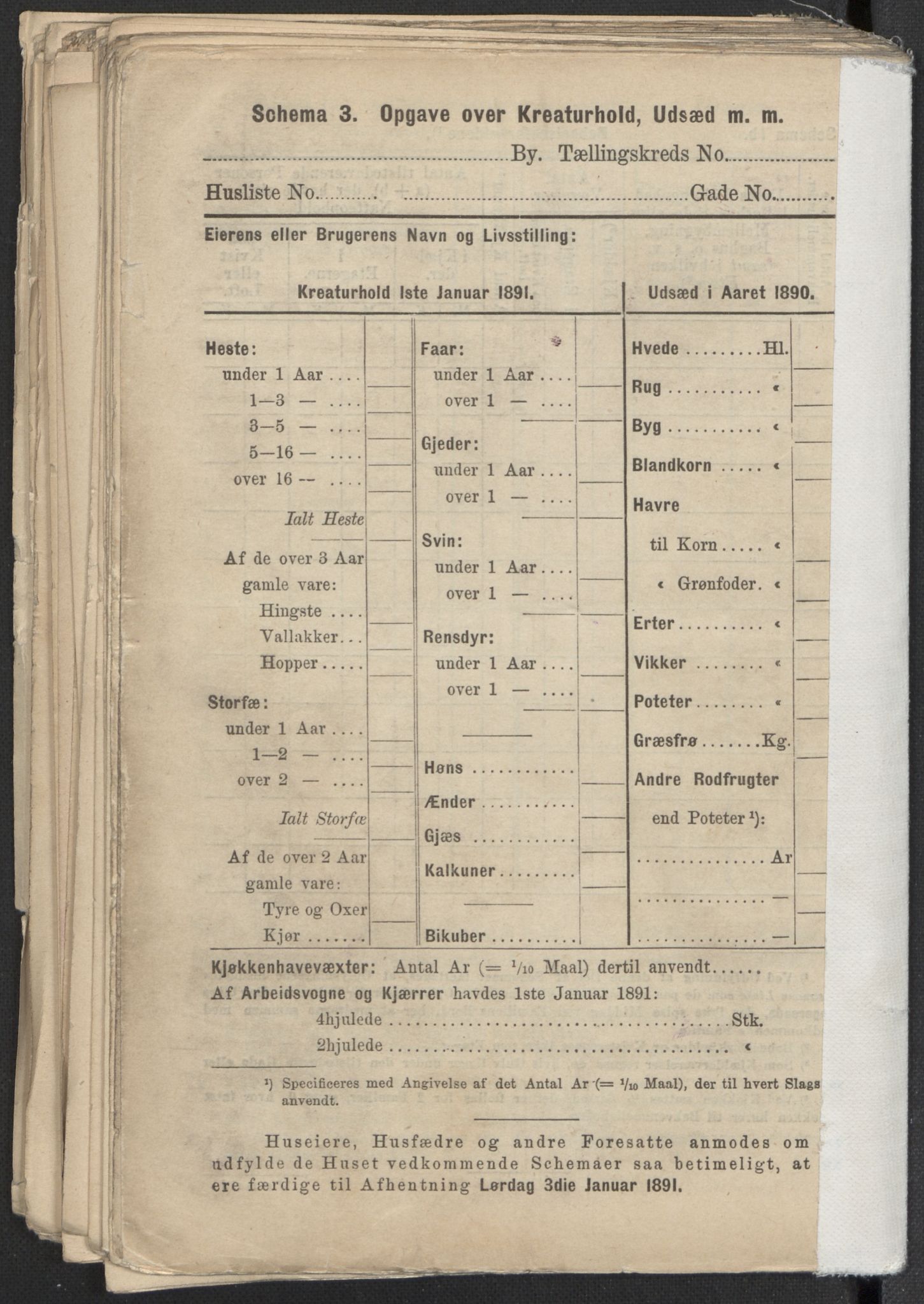 RA, 1891 Census for 1301 Bergen, 1891, p. 6908
