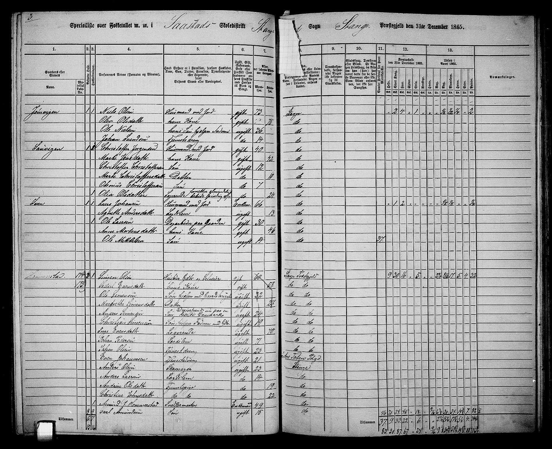 RA, 1865 census for Stange, 1865, p. 155