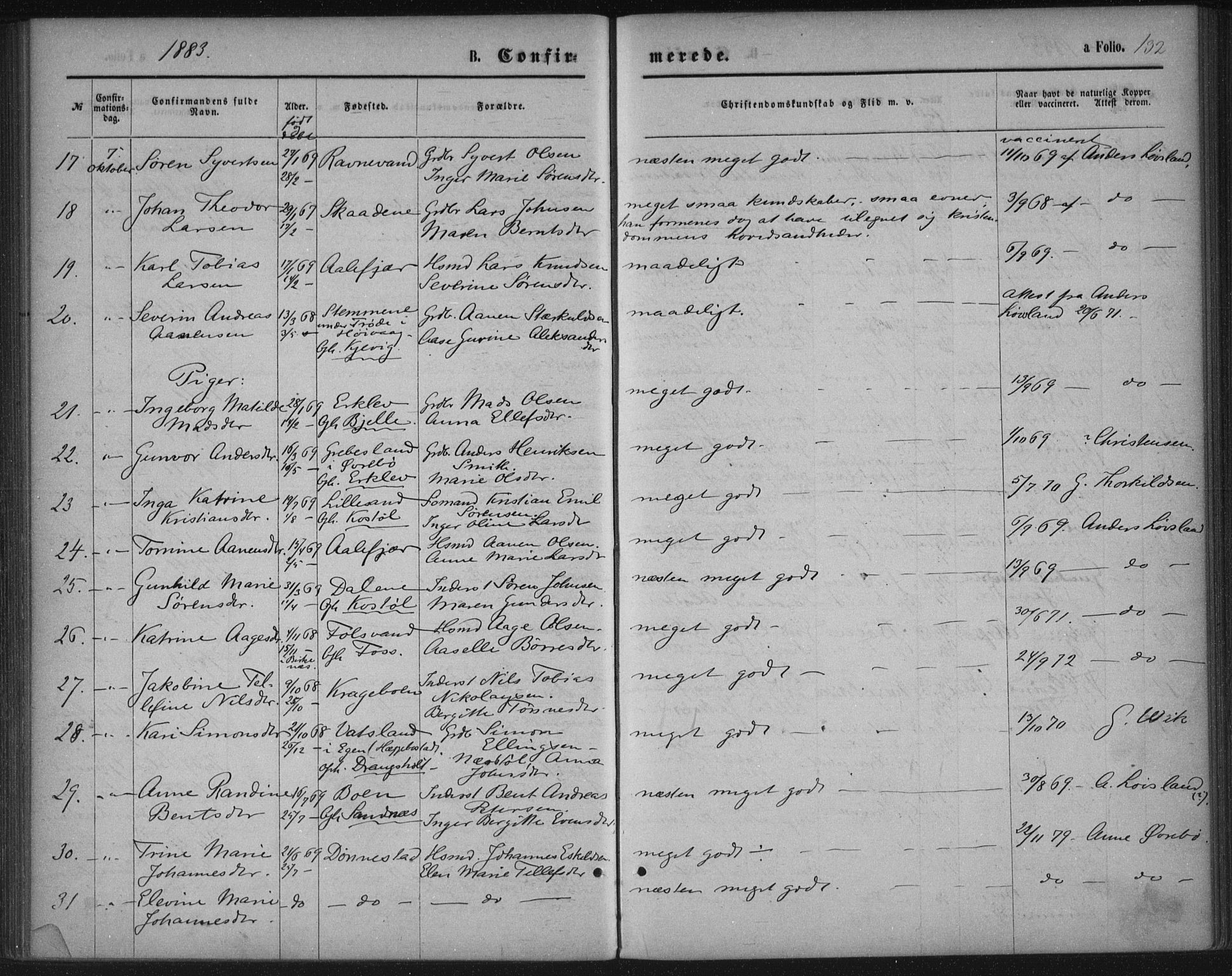 Tveit sokneprestkontor, AV/SAK-1111-0043/F/Fa/L0006: Parish register (official) no. A 6, 1872-1886, p. 132