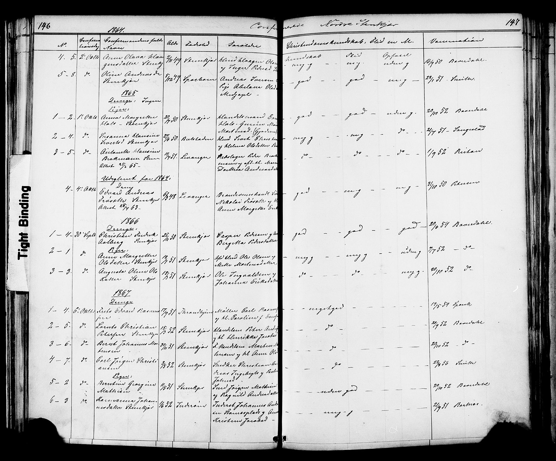 Ministerialprotokoller, klokkerbøker og fødselsregistre - Nord-Trøndelag, SAT/A-1458/739/L0367: Parish register (official) no. 739A01 /2, 1838-1868, p. 146-147