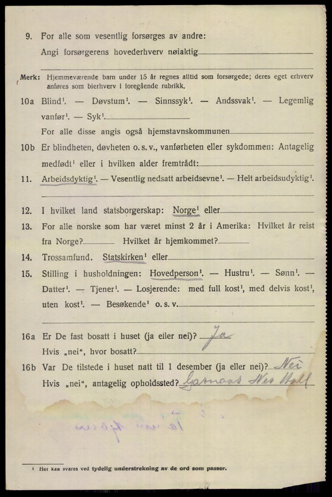 SAKO, 1920 census for Nes (Buskerud), 1920, p. 5203