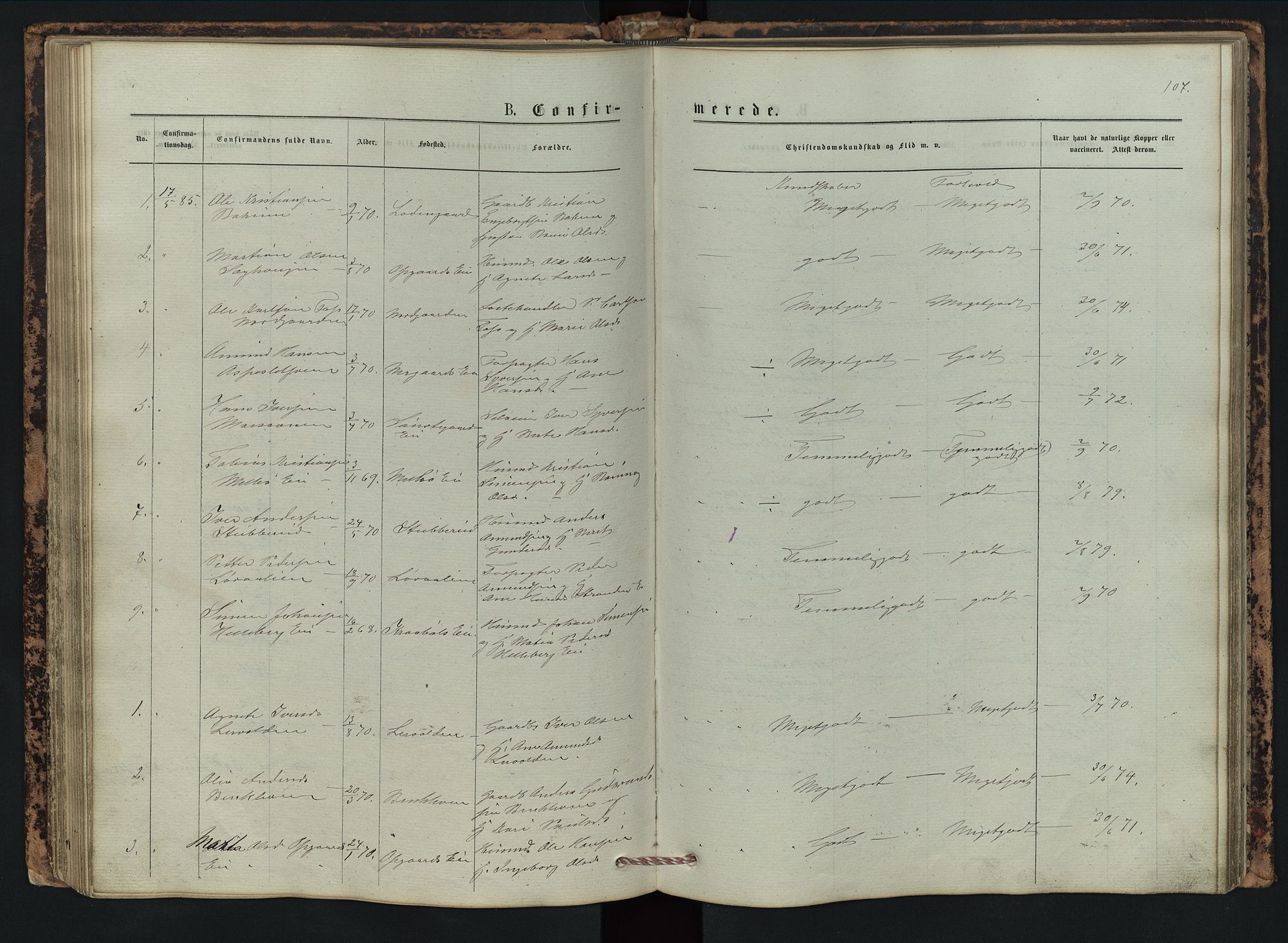 Vestre Gausdal prestekontor, SAH/PREST-094/H/Ha/Hab/L0002: Parish register (copy) no. 2, 1874-1897, p. 107