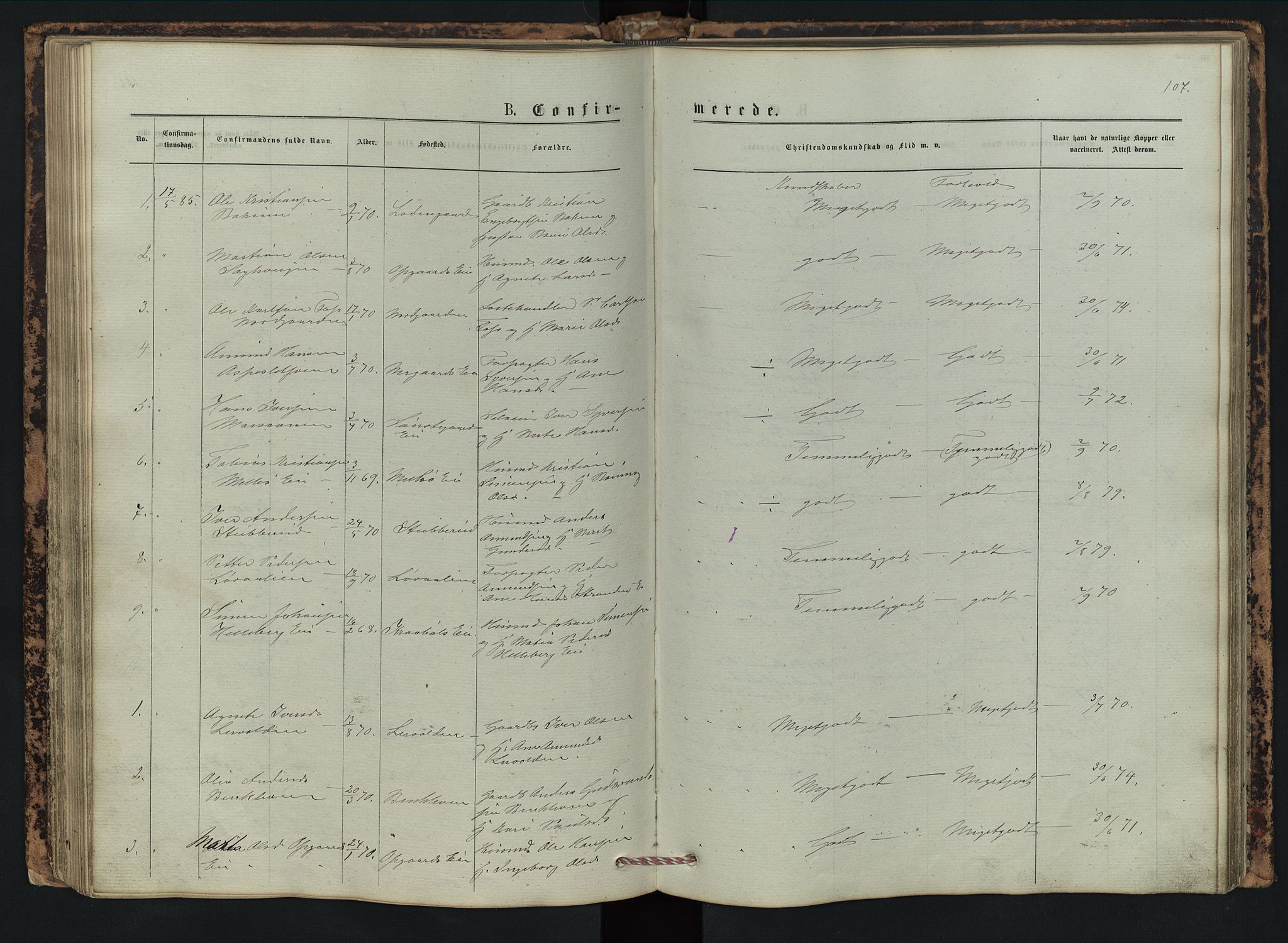Vestre Gausdal prestekontor, AV/SAH-PREST-094/H/Ha/Hab/L0002: Parish register (copy) no. 2, 1874-1897, p. 107
