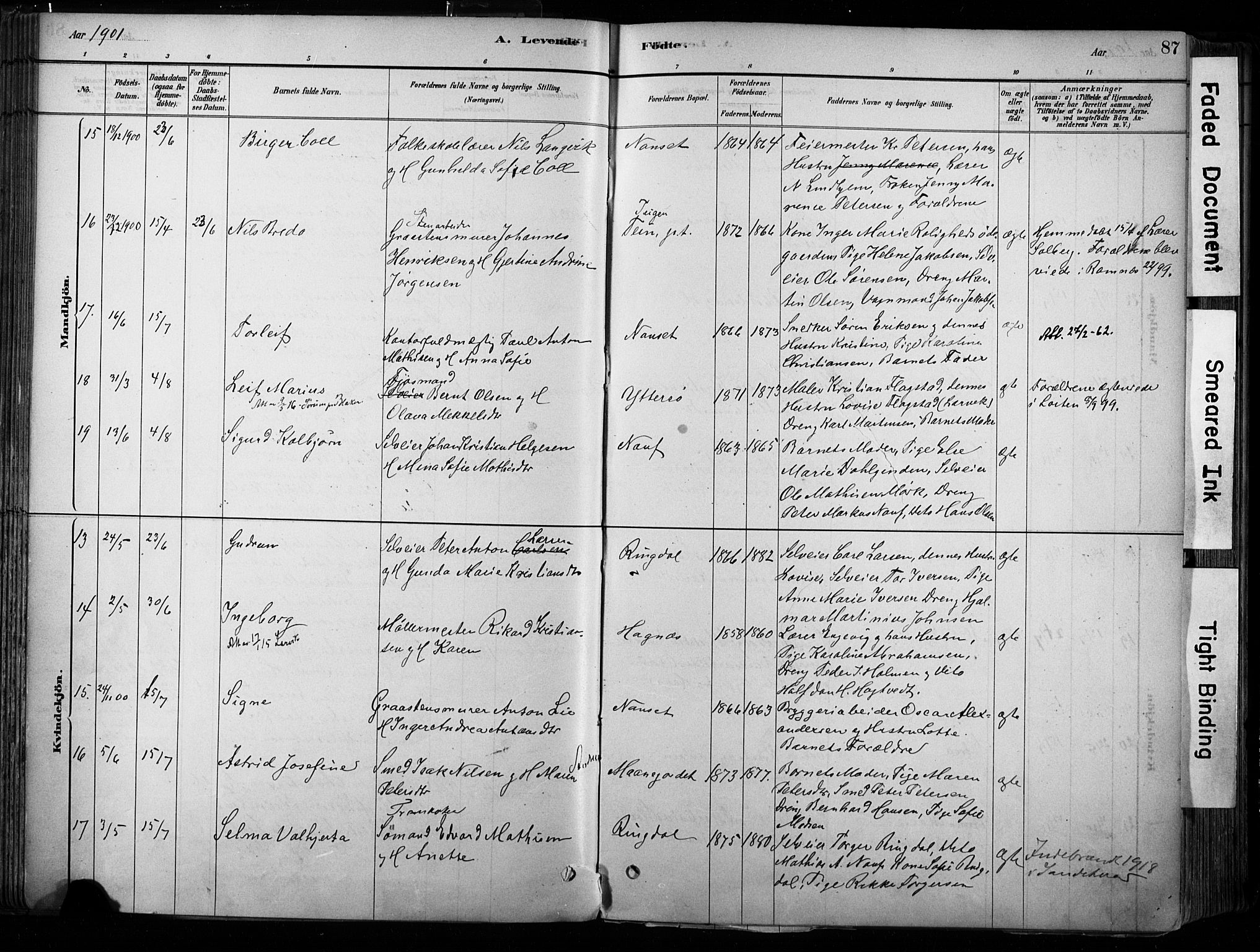 Hedrum kirkebøker, AV/SAKO-A-344/F/Fa/L0009: Parish register (official) no. I 9, 1881-1903, p. 87