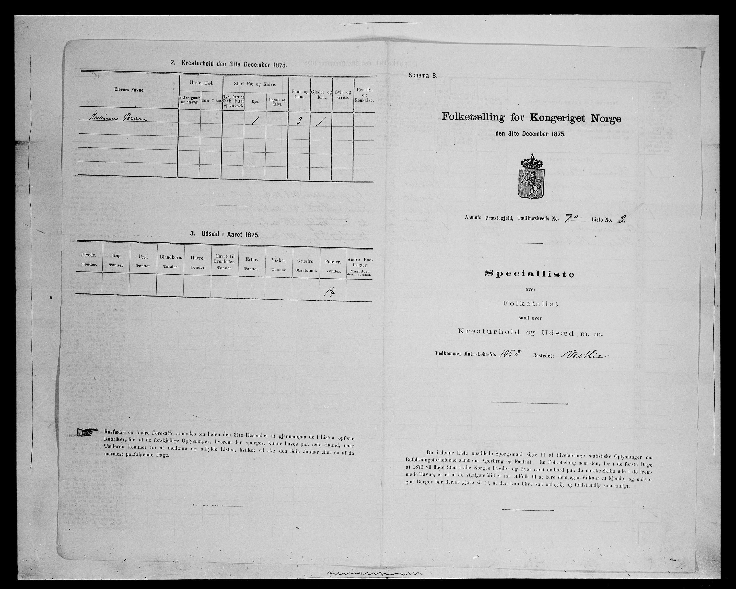 SAH, 1875 census for 0429P Åmot, 1875, p. 1010