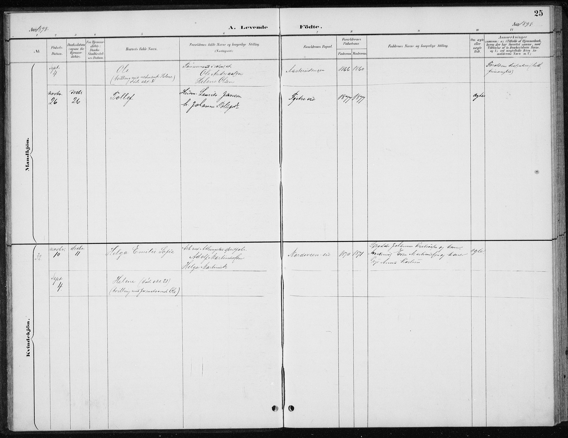 Stange prestekontor, AV/SAH-PREST-002/L/L0010: Parish register (copy) no. 10, 1894-1905, p. 25