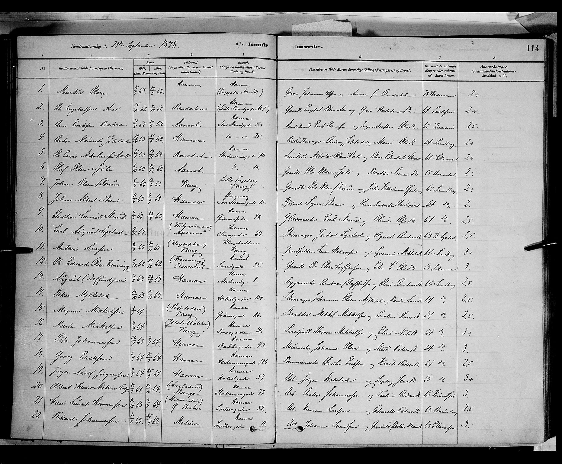 Vang prestekontor, Hedmark, SAH/PREST-008/H/Ha/Haa/L0016: Parish register (official) no. 16, 1878-1889, p. 114
