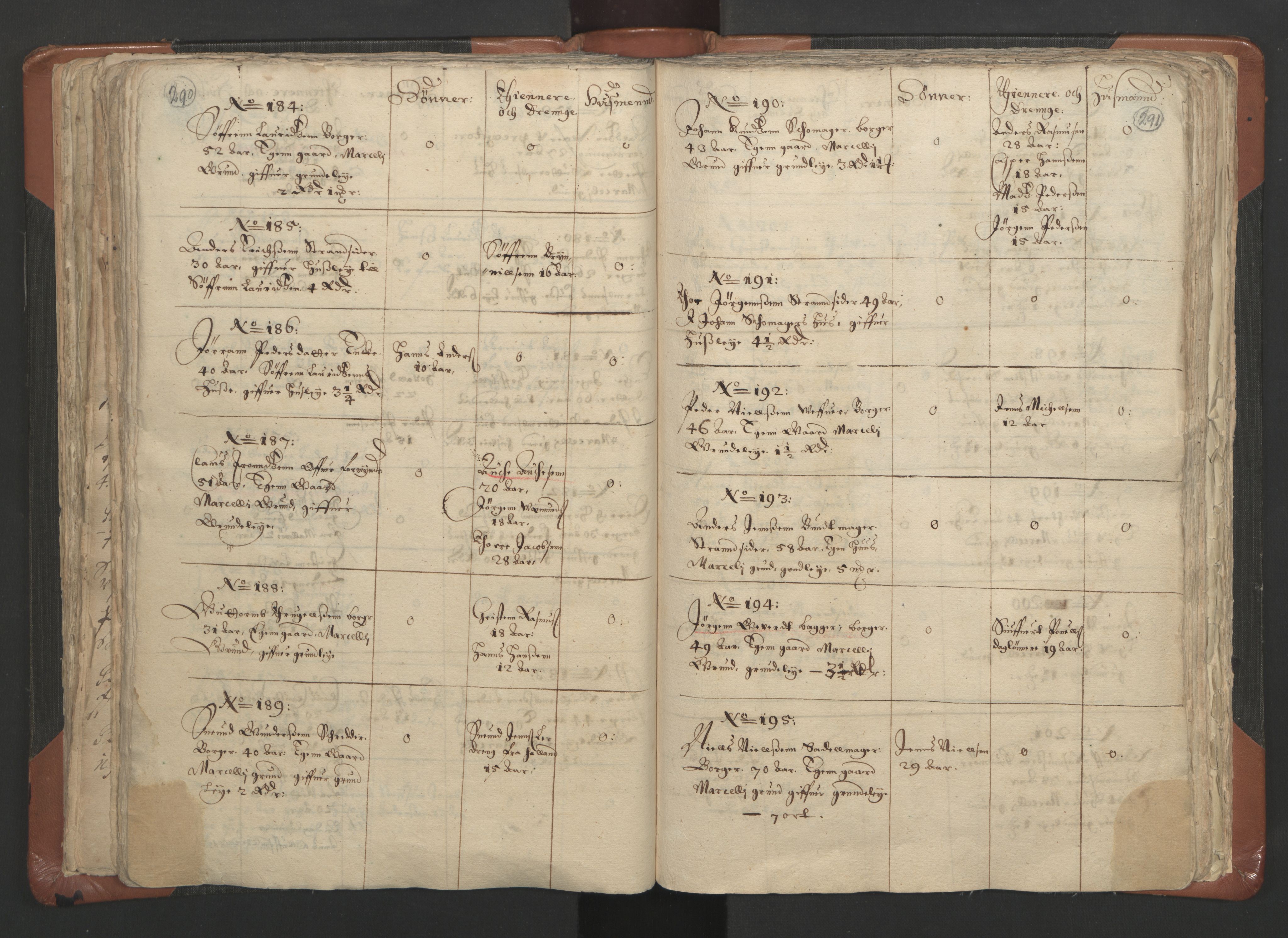 RA, Vicar's Census 1664-1666, no. 9: Bragernes deanery, 1664-1666, p. 290-291