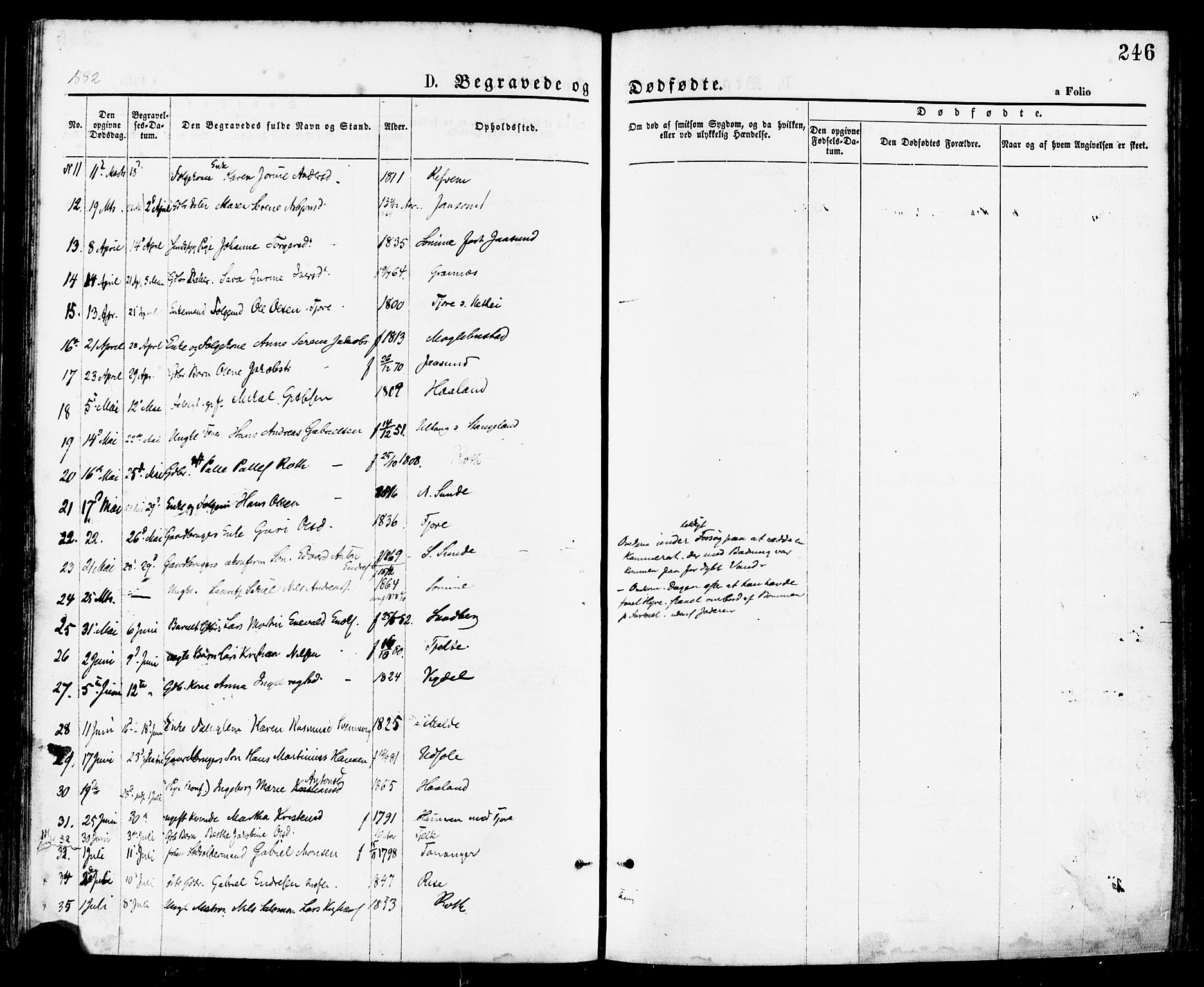 Håland sokneprestkontor, SAST/A-101802/001/30BA/L0009: Parish register (official) no. A 8, 1871-1882, p. 246