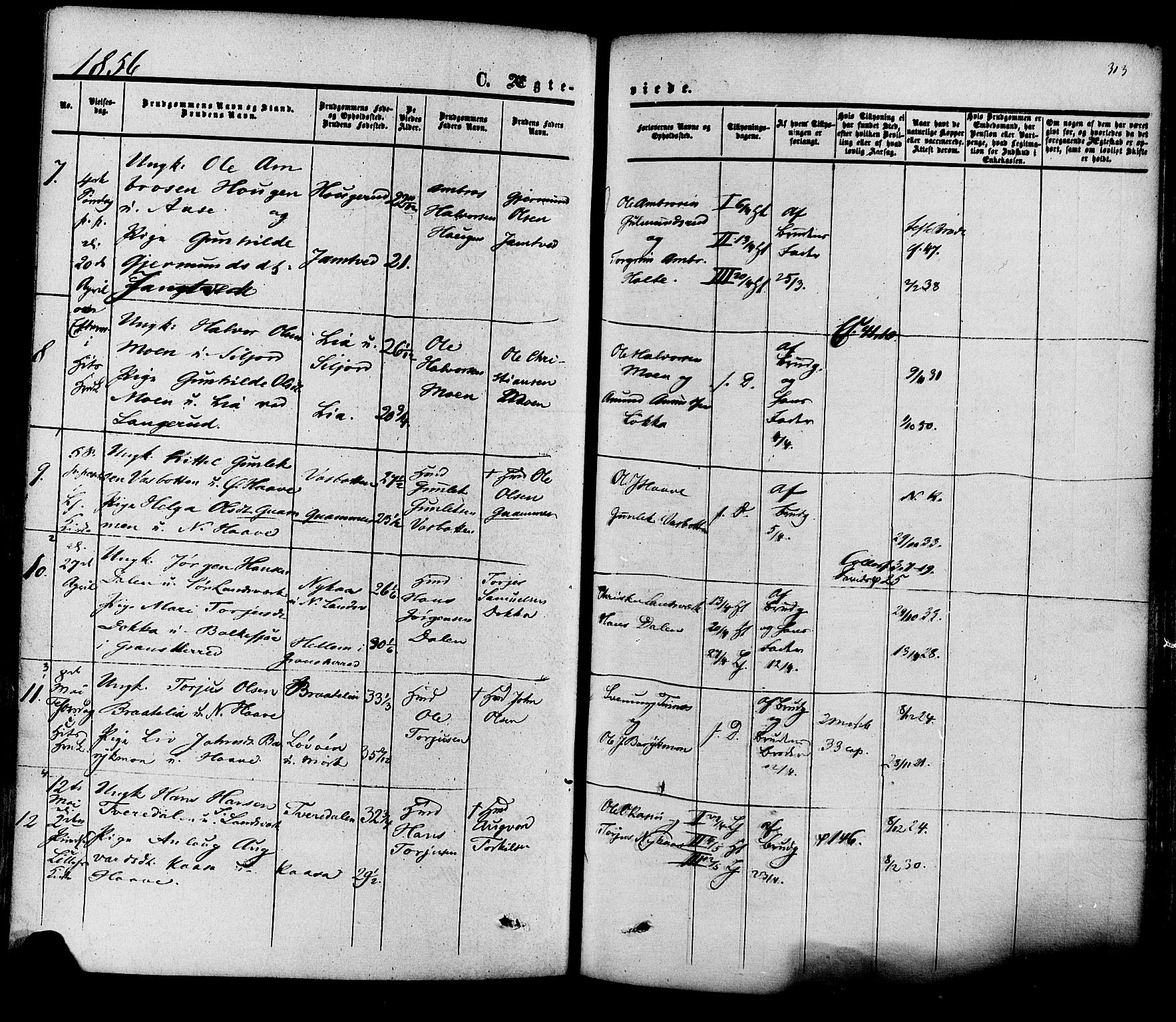 Heddal kirkebøker, SAKO/A-268/F/Fa/L0007: Parish register (official) no. I 7, 1855-1877, p. 313