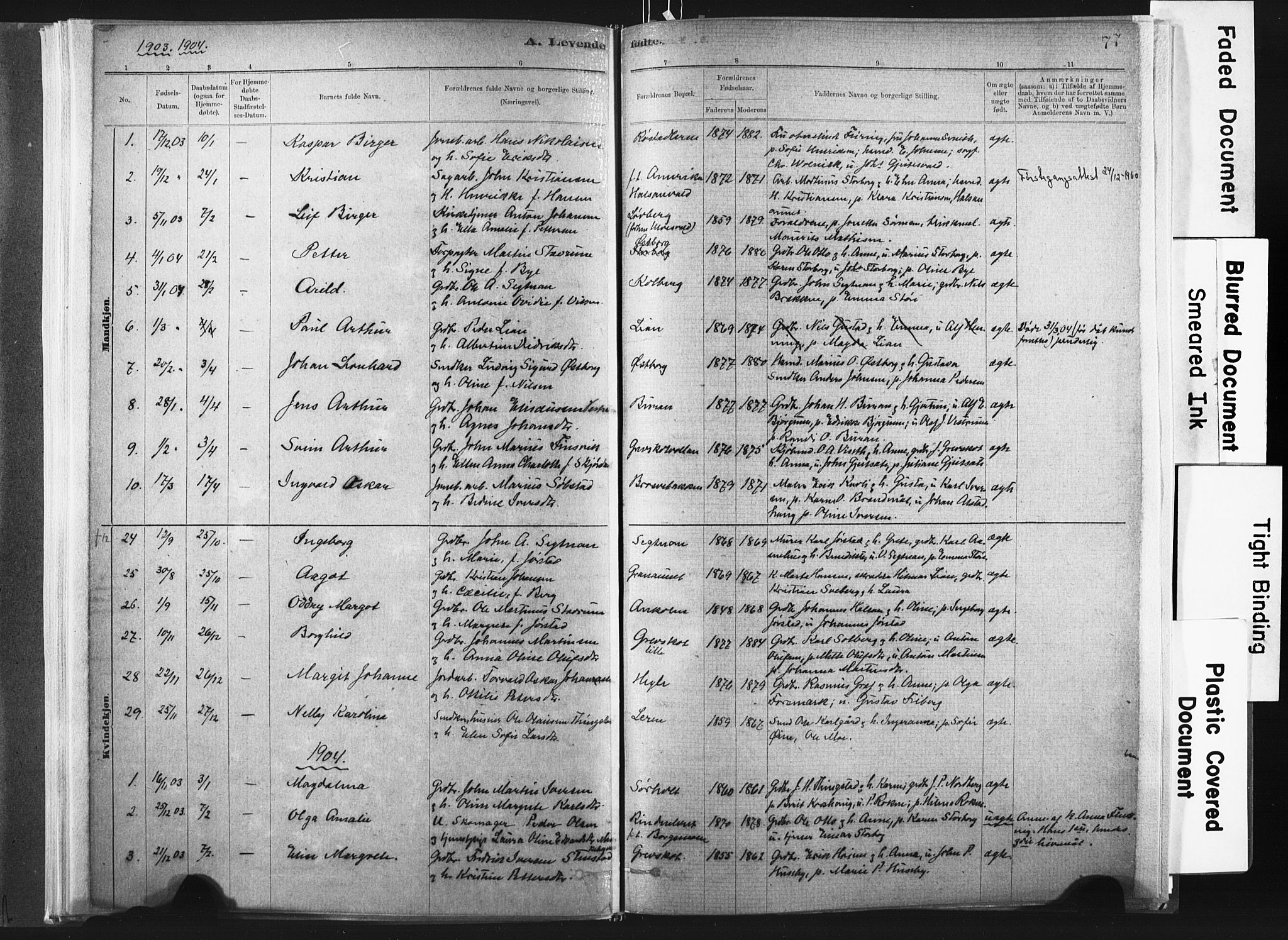 Ministerialprotokoller, klokkerbøker og fødselsregistre - Nord-Trøndelag, SAT/A-1458/721/L0207: Parish register (official) no. 721A02, 1880-1911, p. 77