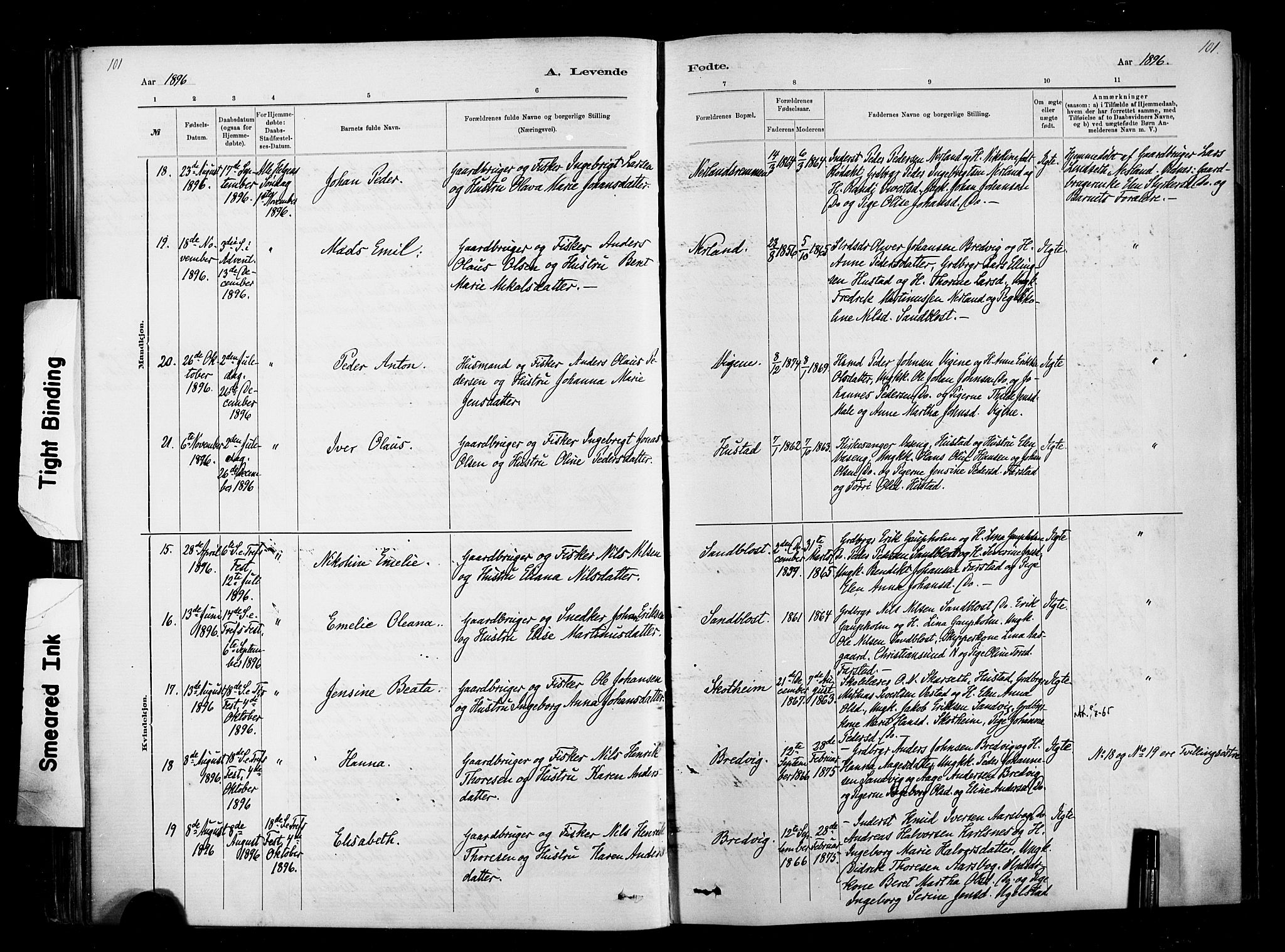 Ministerialprotokoller, klokkerbøker og fødselsregistre - Møre og Romsdal, AV/SAT-A-1454/567/L0778: Parish register (official) no. 567A01, 1881-1903, p. 101