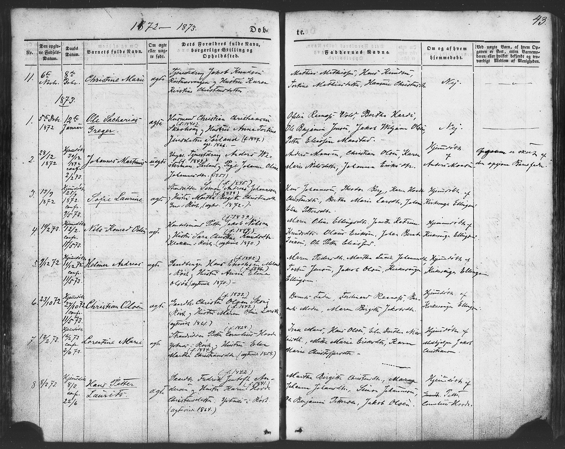 Ministerialprotokoller, klokkerbøker og fødselsregistre - Nordland, AV/SAT-A-1459/807/L0121: Parish register (official) no. 807A04, 1846-1879, p. 43