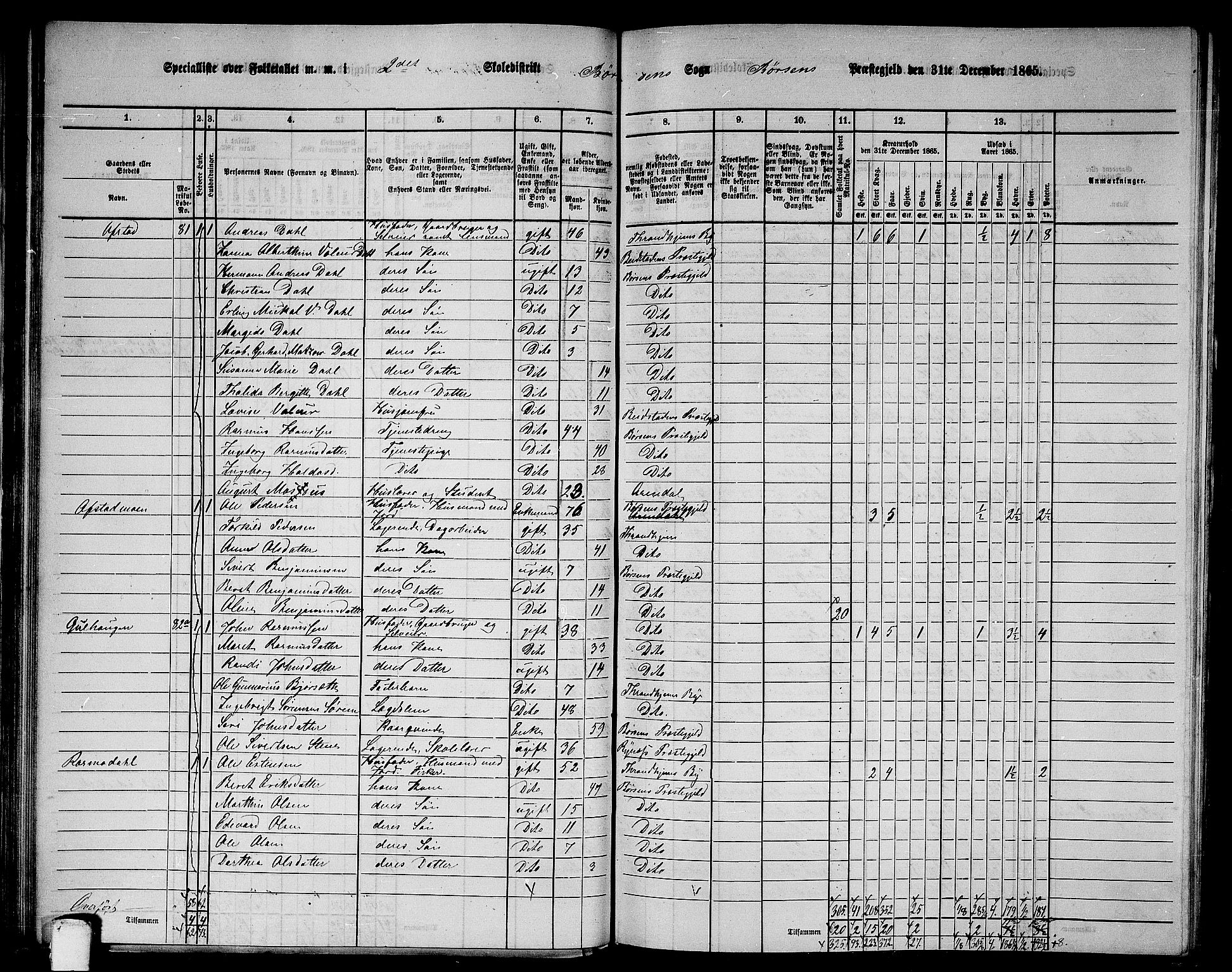 RA, 1865 census for Børsa, 1865, p. 42