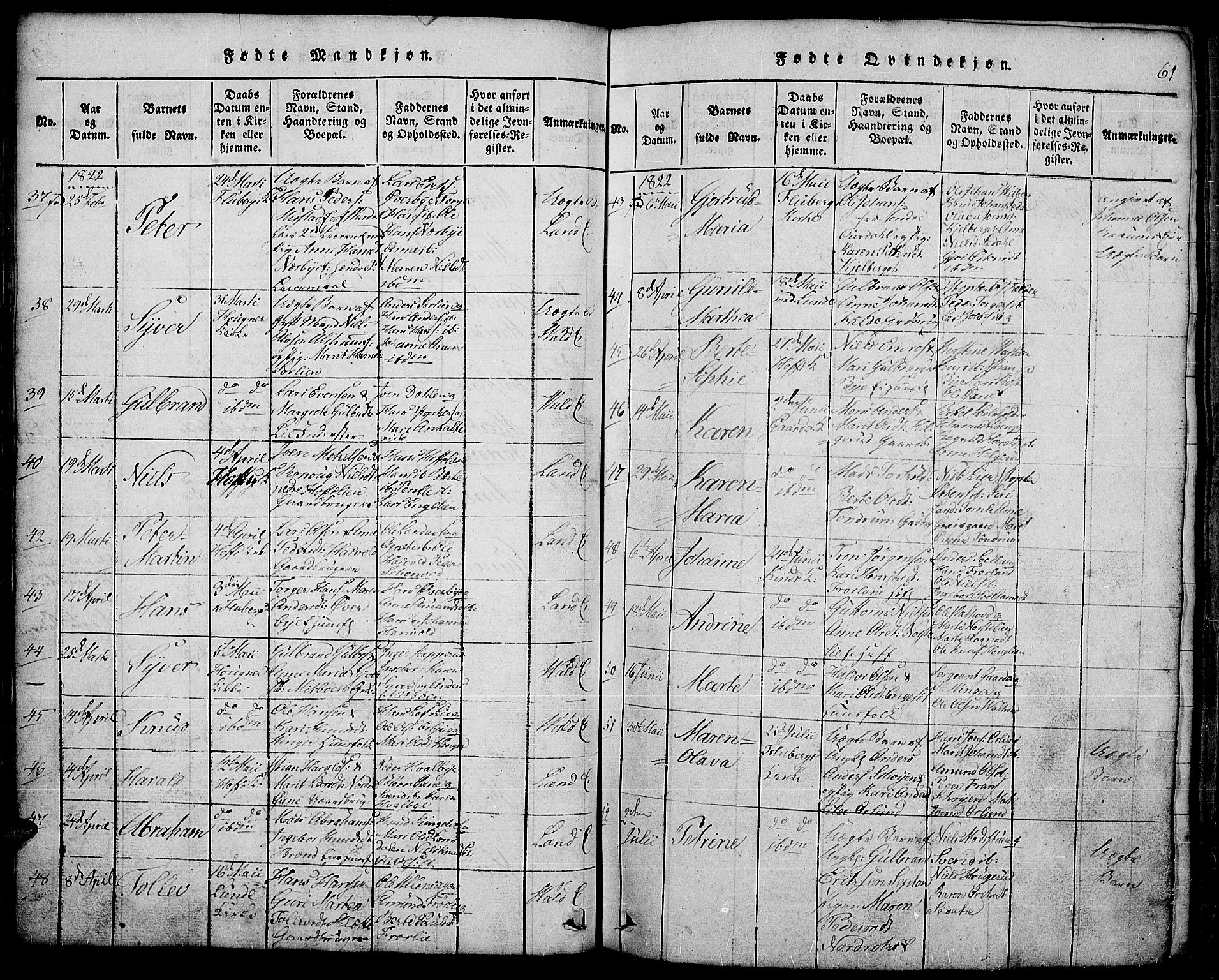 Land prestekontor, AV/SAH-PREST-120/H/Ha/Hab/L0001: Parish register (copy) no. 1, 1814-1833, p. 61