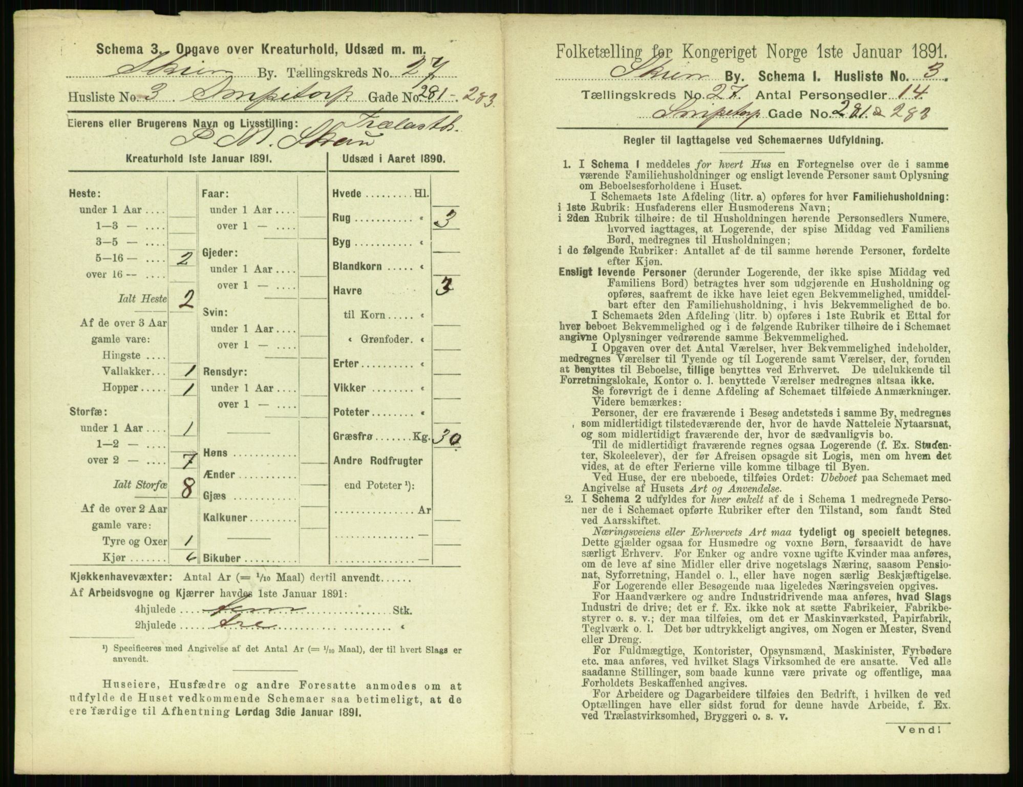 RA, 1891 census for 0806 Skien, 1891, p. 1004