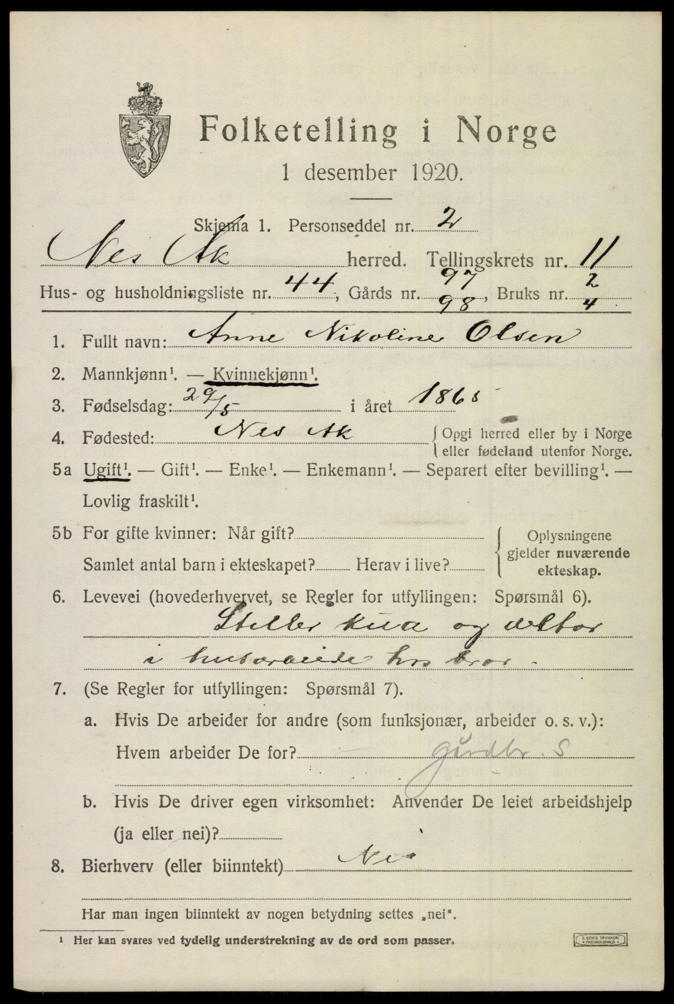 SAO, 1920 census for Nes, 1920, p. 11952